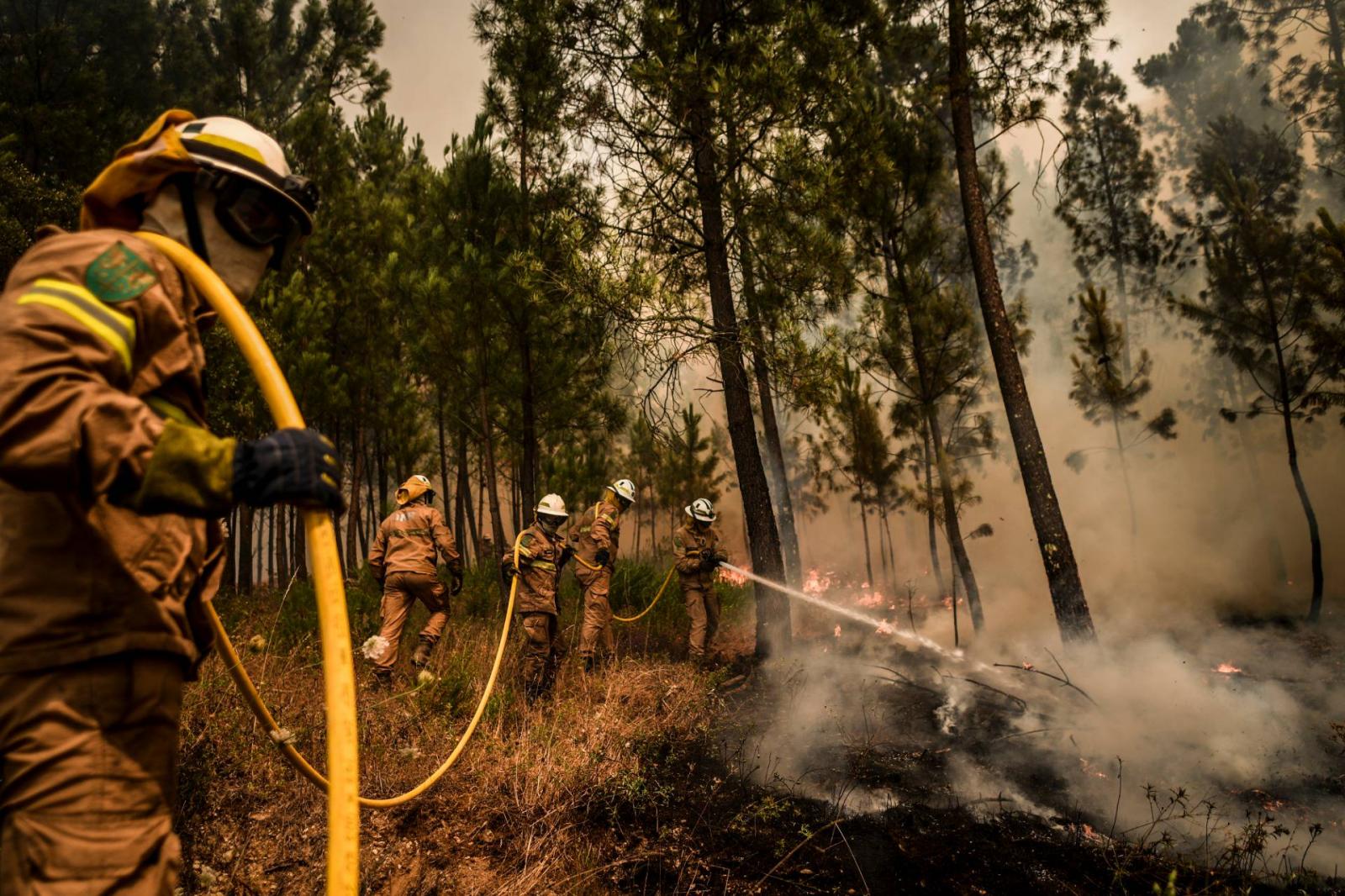 Turkey: Forest fire destroys over 1,200 acres of land