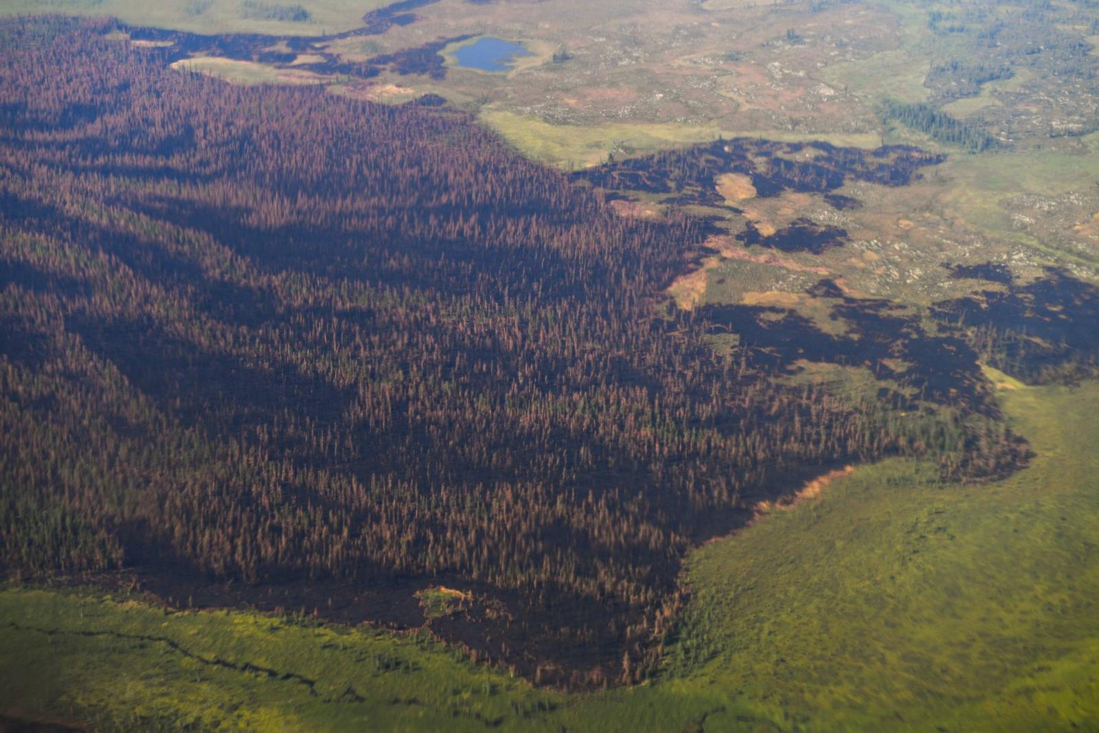 Turkey: Forest fire destroys over 1,200 acres of land