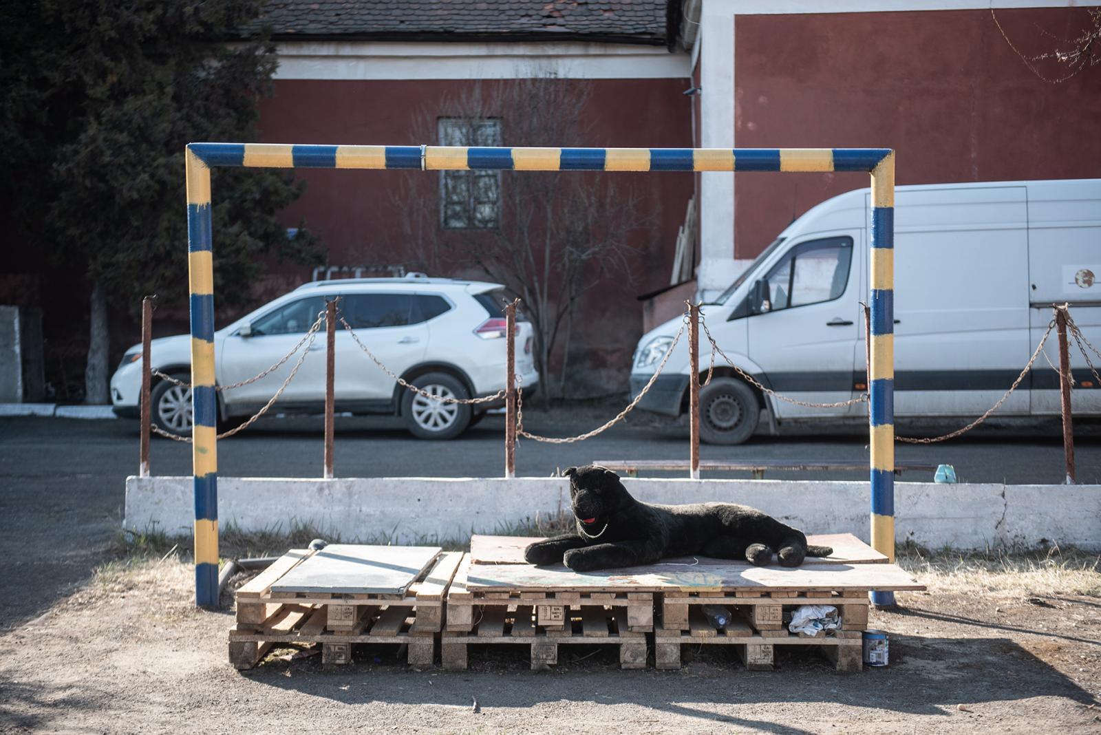 2022. március 19. A beregszászi kistérség “VIDSZICH” Önkéntes egyesületének adománygyűjtő pontja Beregszászon a régi iskolában.