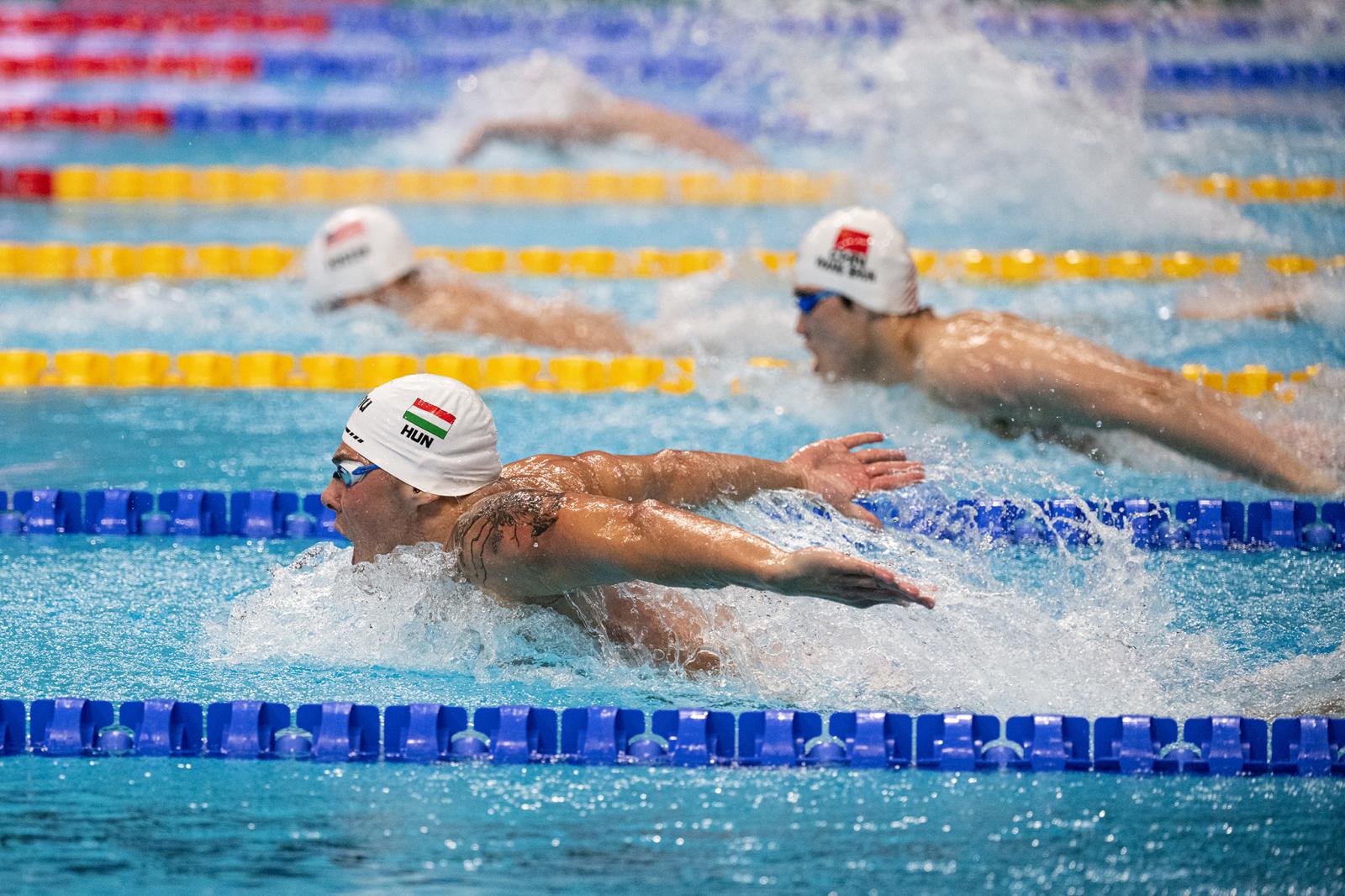 19. FINA vizes világbajnokság, Budapest