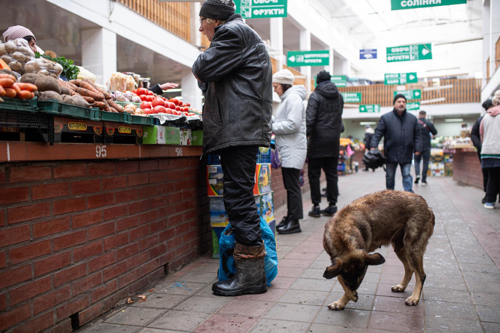 Kárpátaljáig ér a háború gyásza és a szirénák hangja, de az élet így sem áll meg