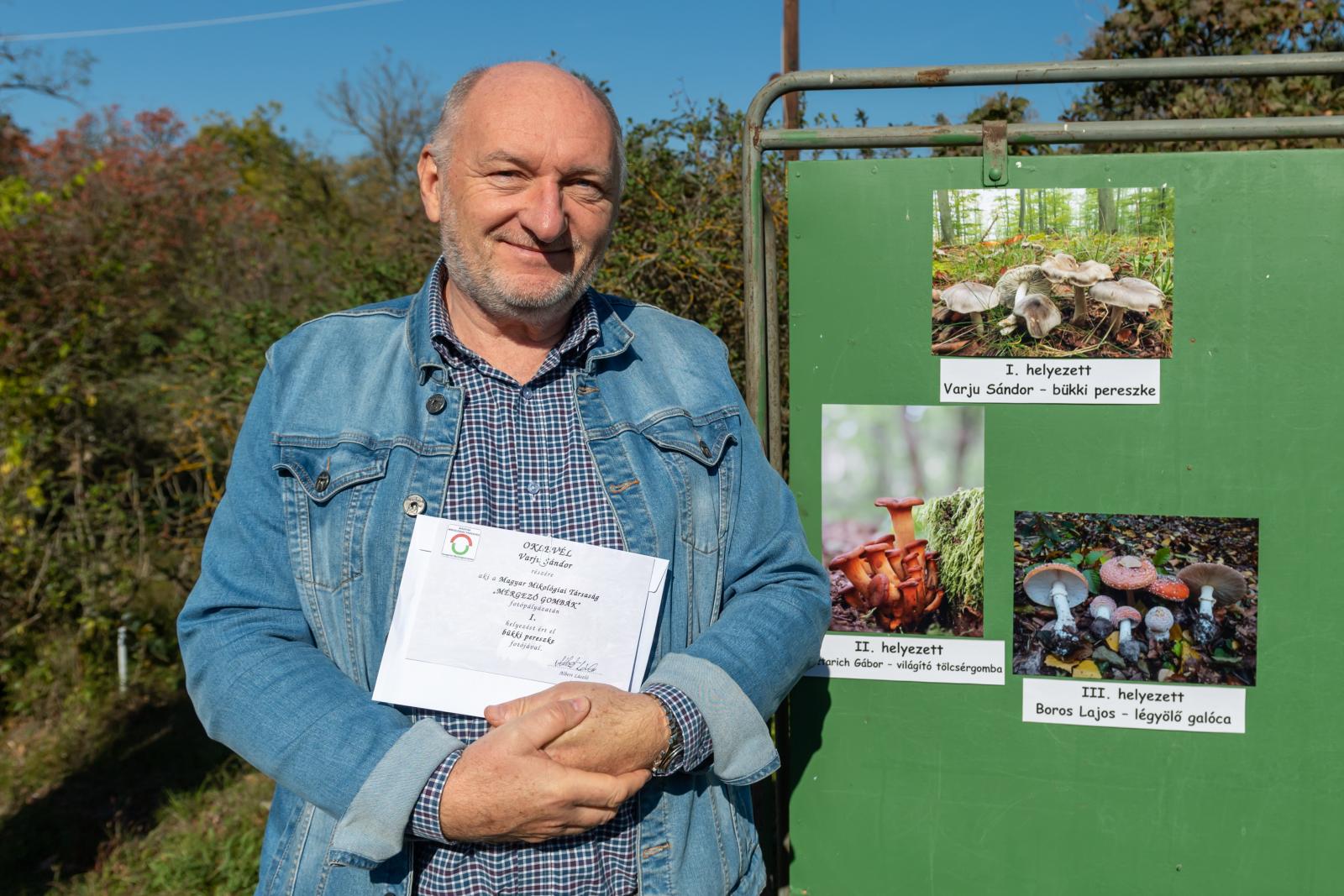 Varju Sándor bükki pereszkéről készült fotója nyerte a Mérgező gombák fotópályázatot