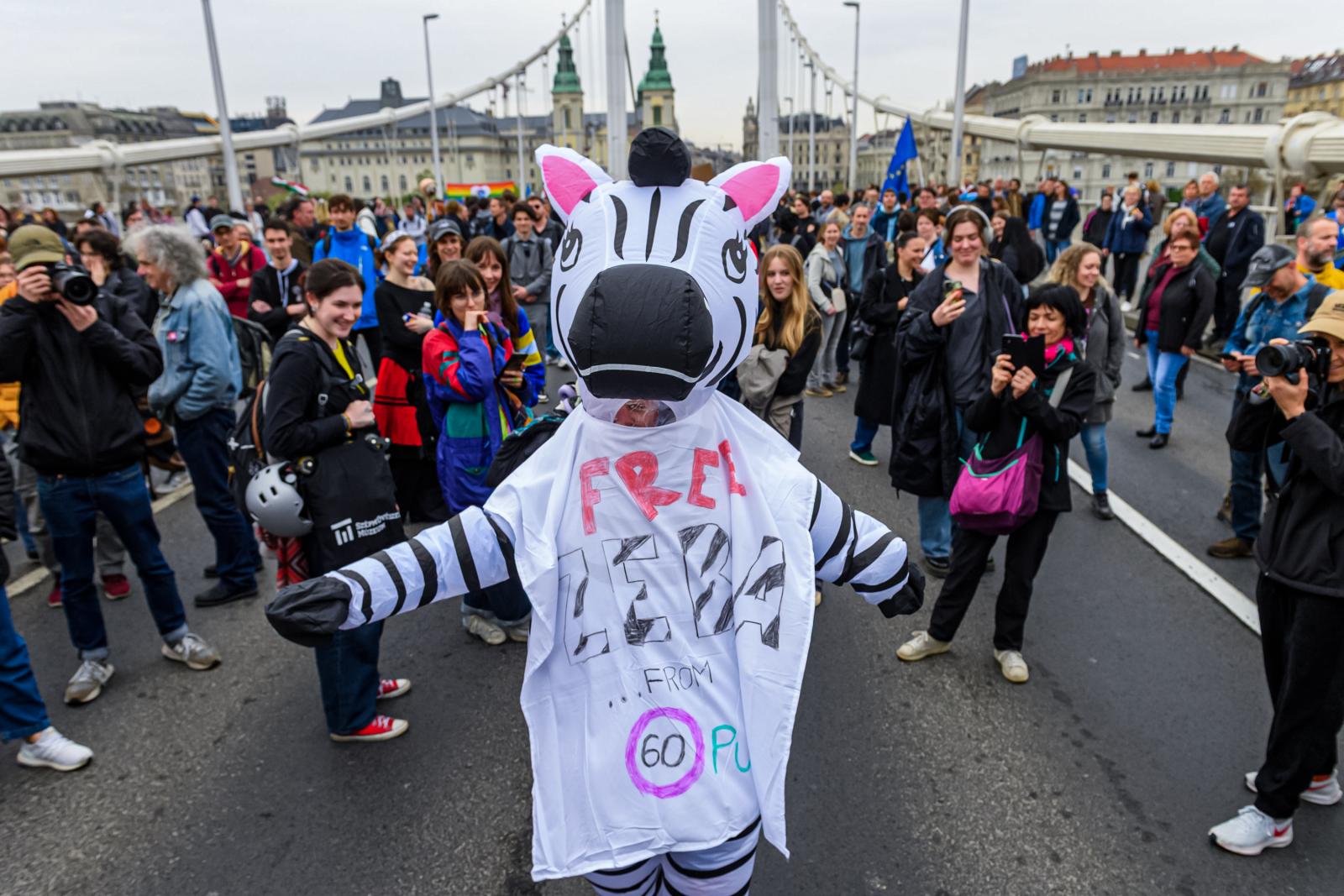 A szokásos keddi program: hídfoglalás