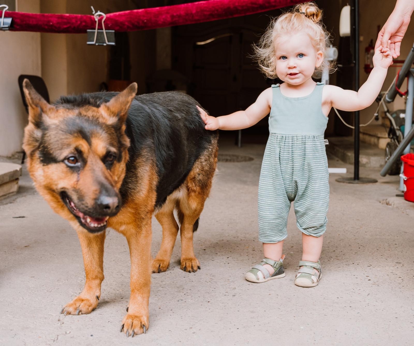 Földes László Hobo és a közönség szeretete