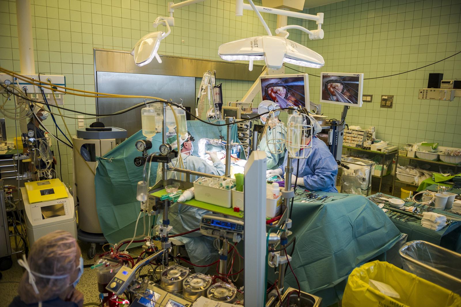 Erős felütéssel kezdődött az év, rögtön az első munkahéten szívműtét