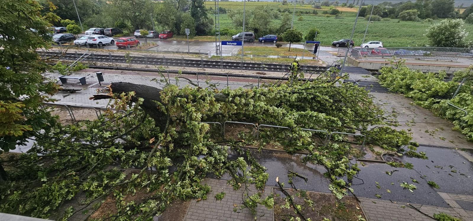 A vihar megbénította a fél országot. Solymárnál egy kidőlt fa akadályozta a forgalmat