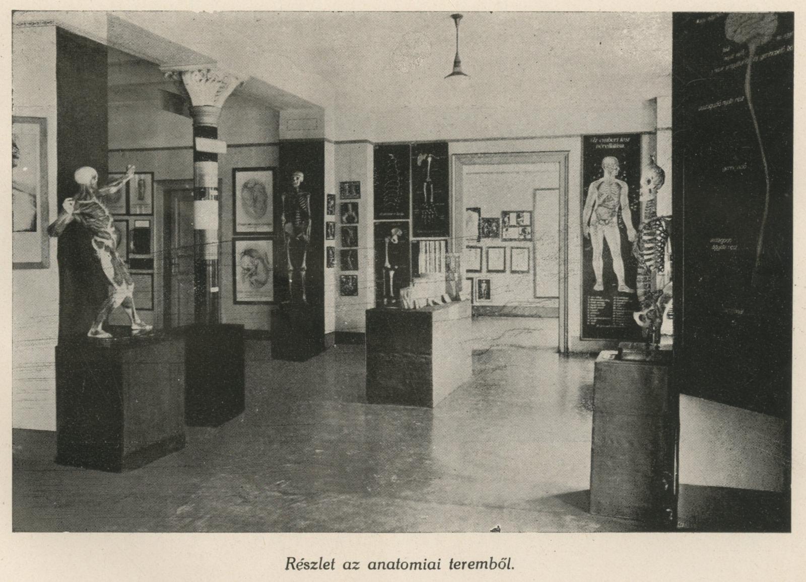 A Népegészségügyi Múzeum épülete 1928 után. Gortvay György: A Népegészségügyi Múzeum munkája. 1935. Budapest: Egyesült Nyomda. 14.