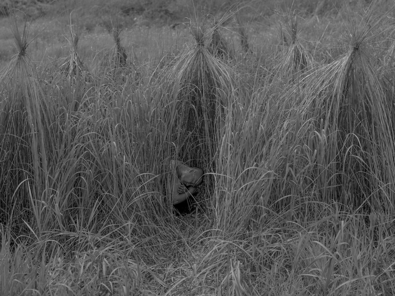 Moon Sang-wook: Életvíz, 2015