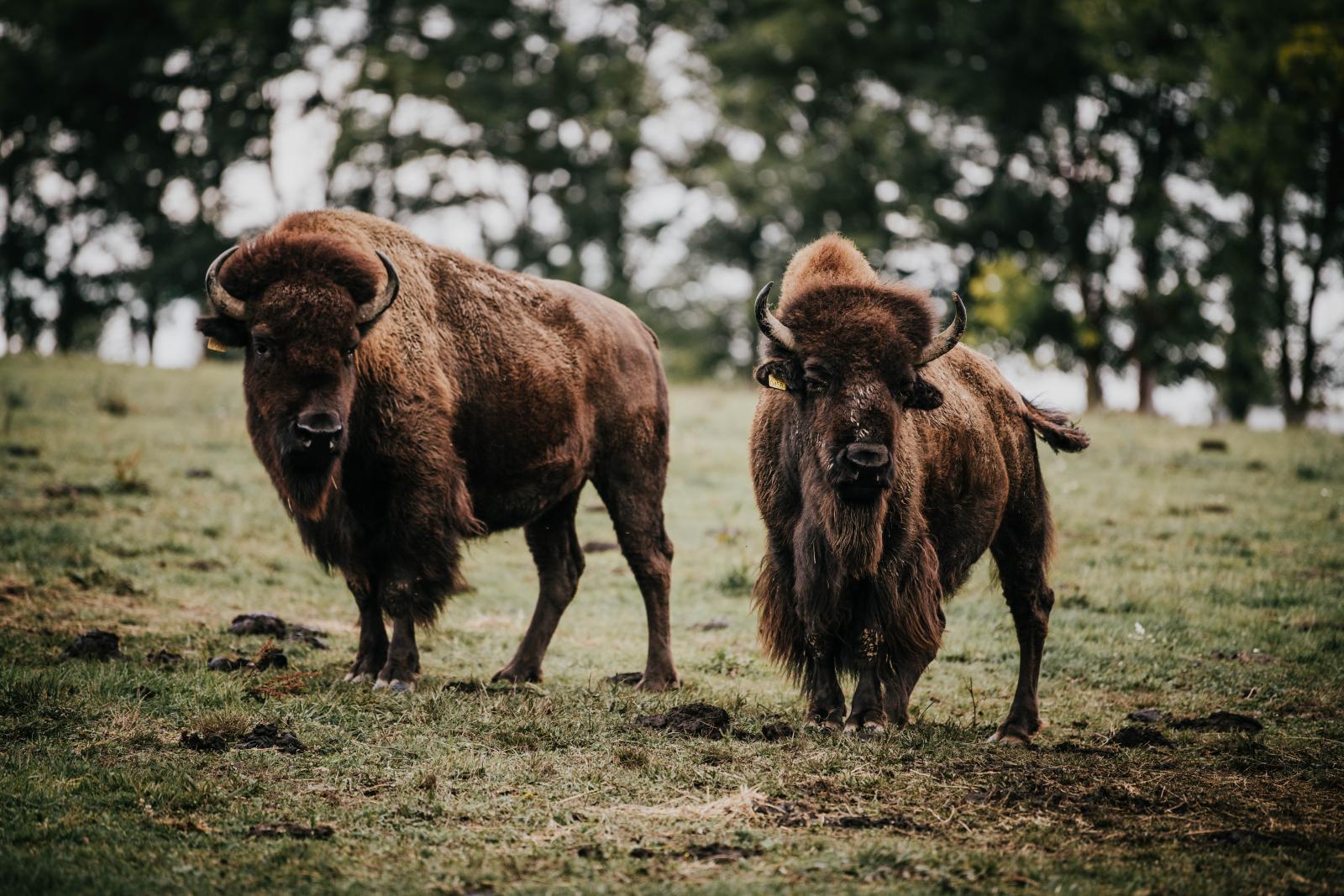 „Vigyáznak magukra, nem kell félteni őket semmitől”