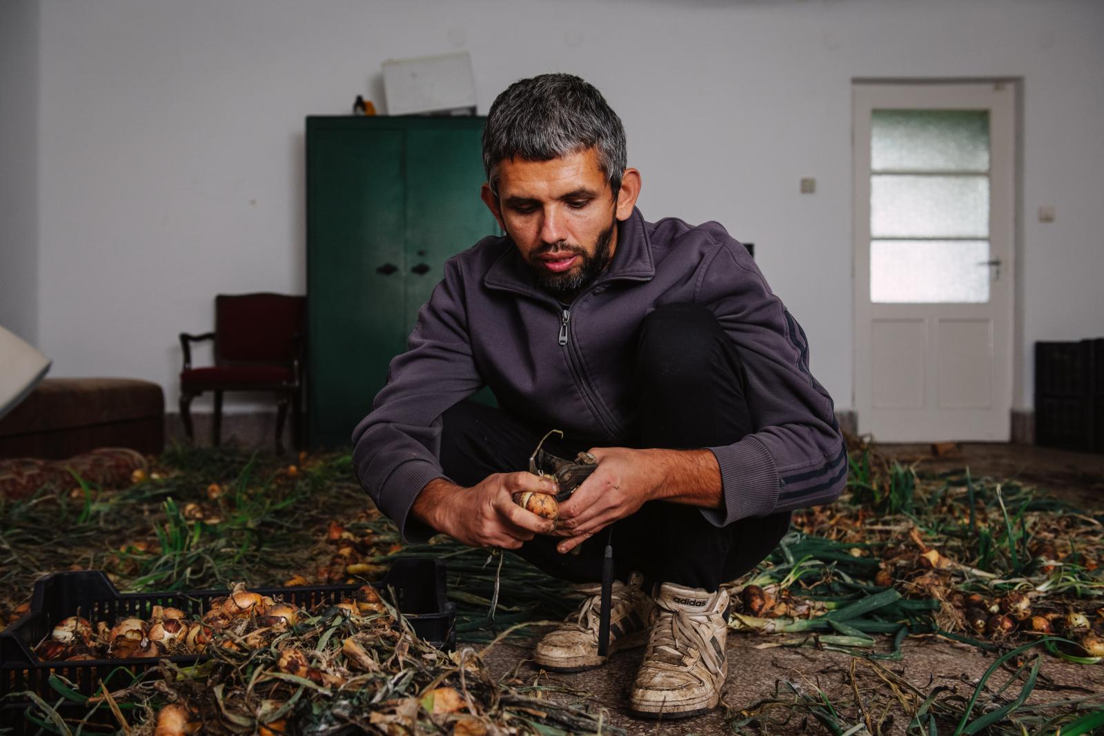 A mángold 50 árnyalata