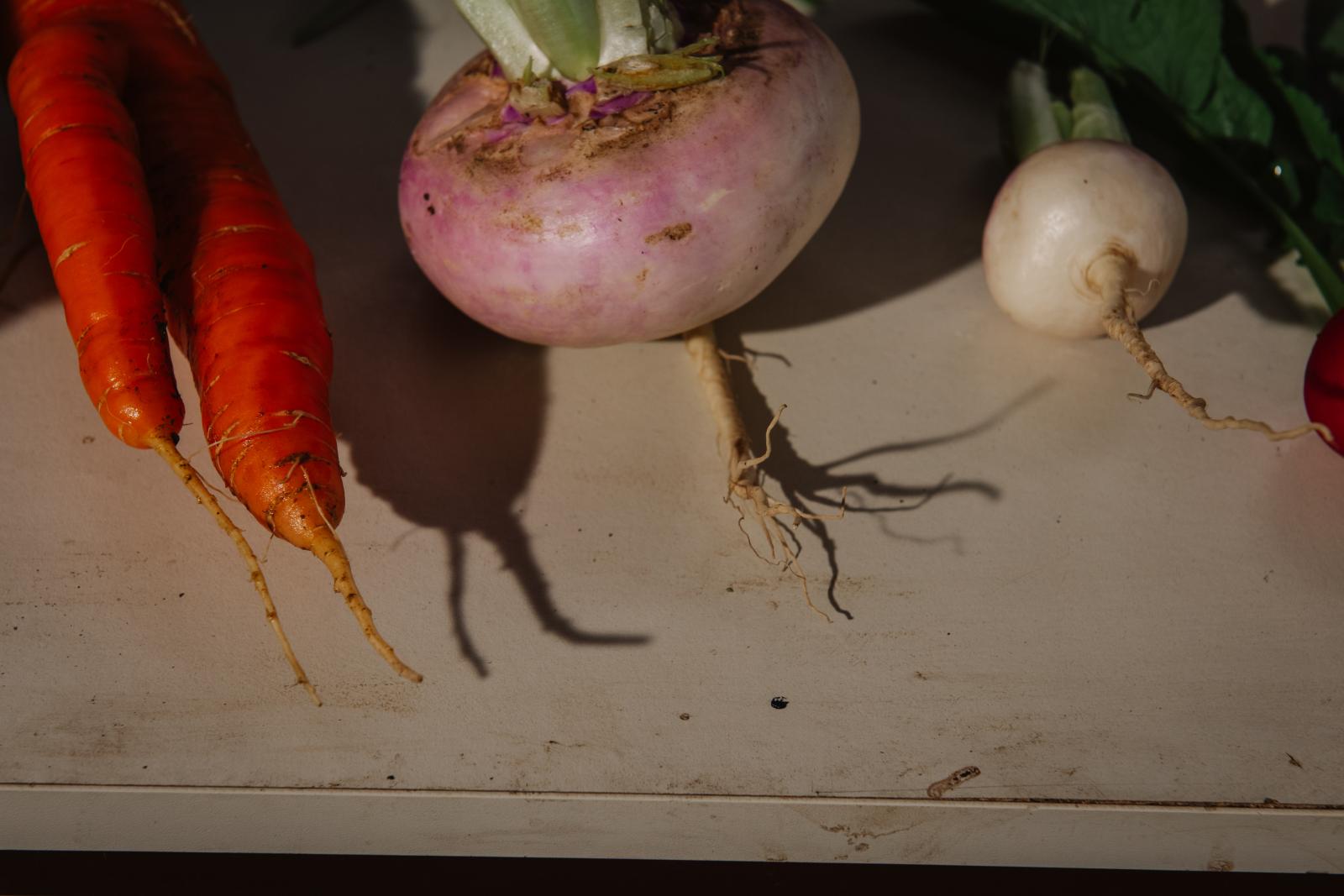 A mángold 50 árnyalata