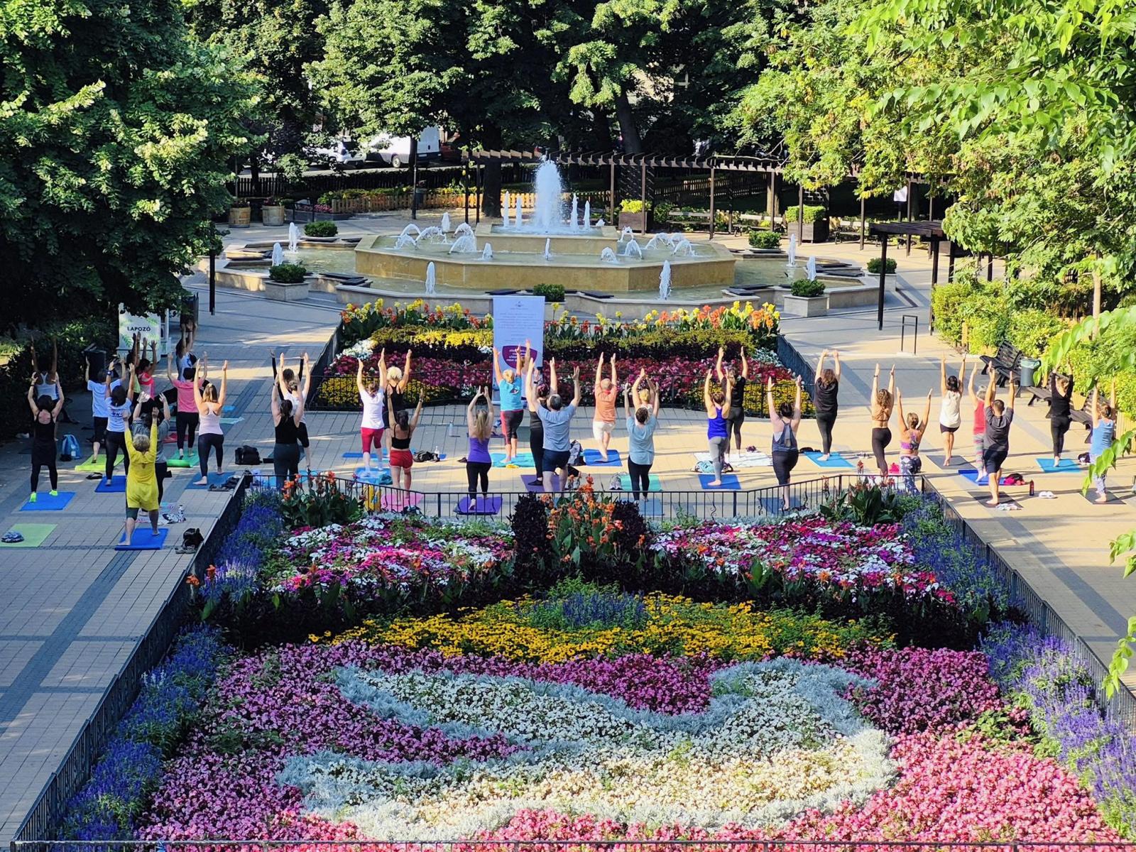 Jóga a Mechwart ligetben