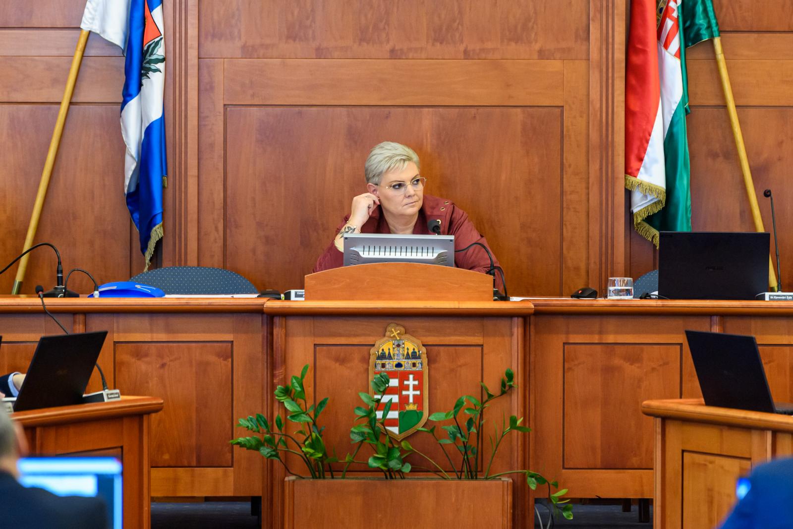 Cserdiné Németh Angéla