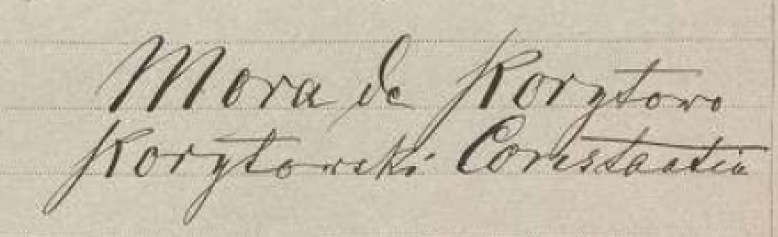 Korytowski Konstantin grófról nem maradt fenn fénykép, de az aláírása megőrződött a Fővárosi Levéltár egy iratán