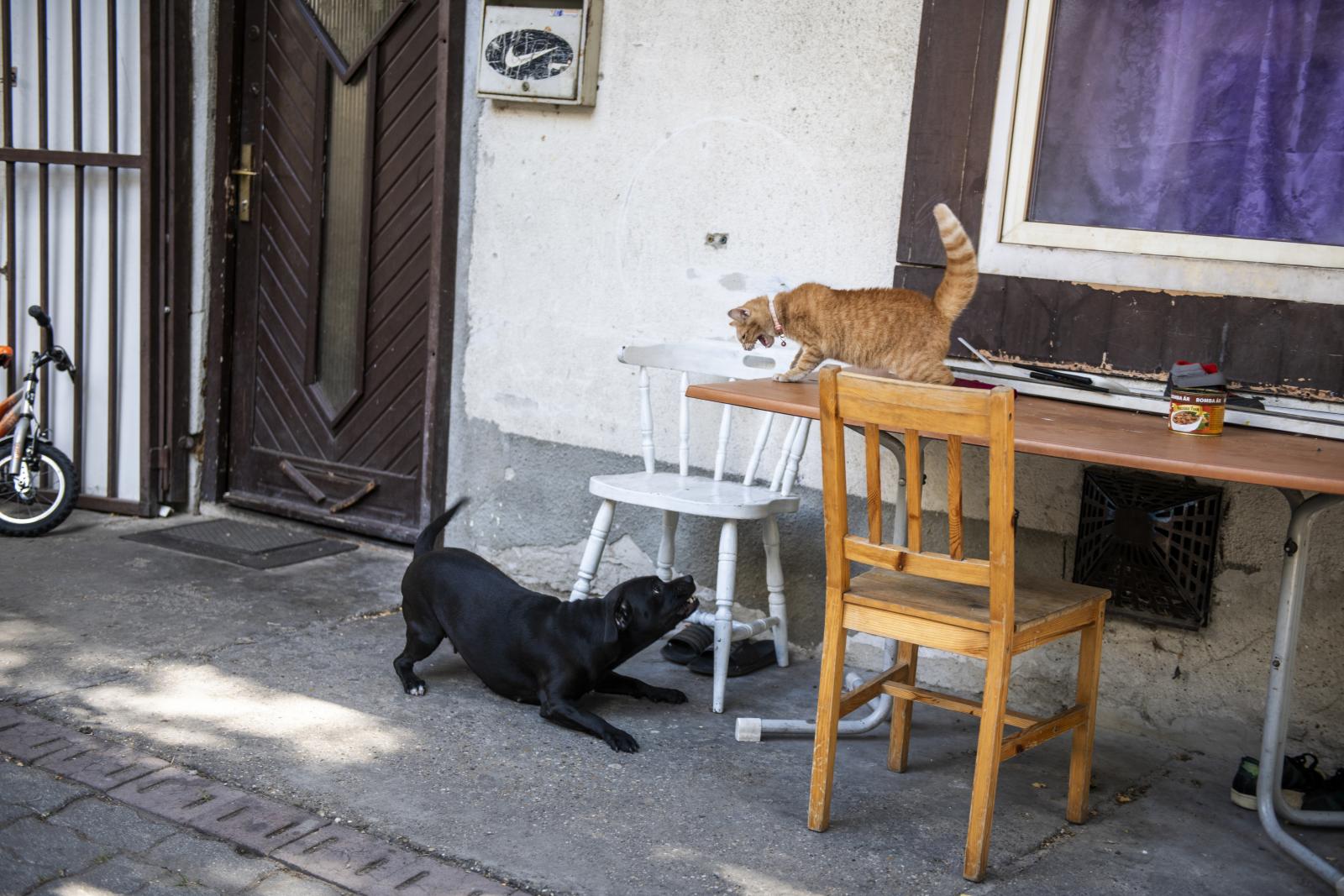 Riport a Van helyed alapítványnál április 3-án.