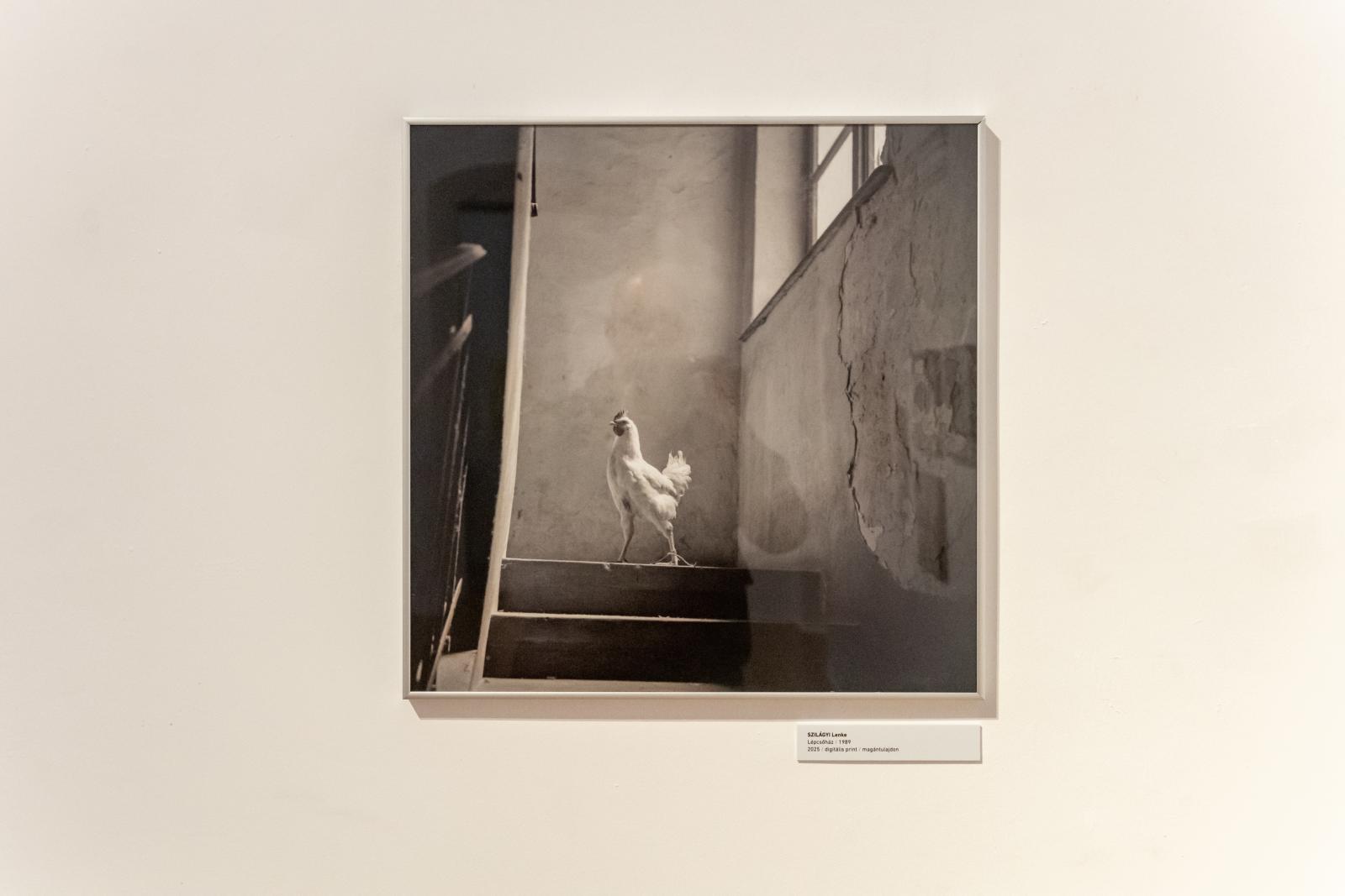 Mindegyik képen egy történet vagy annak lehetősége bontakozik ki