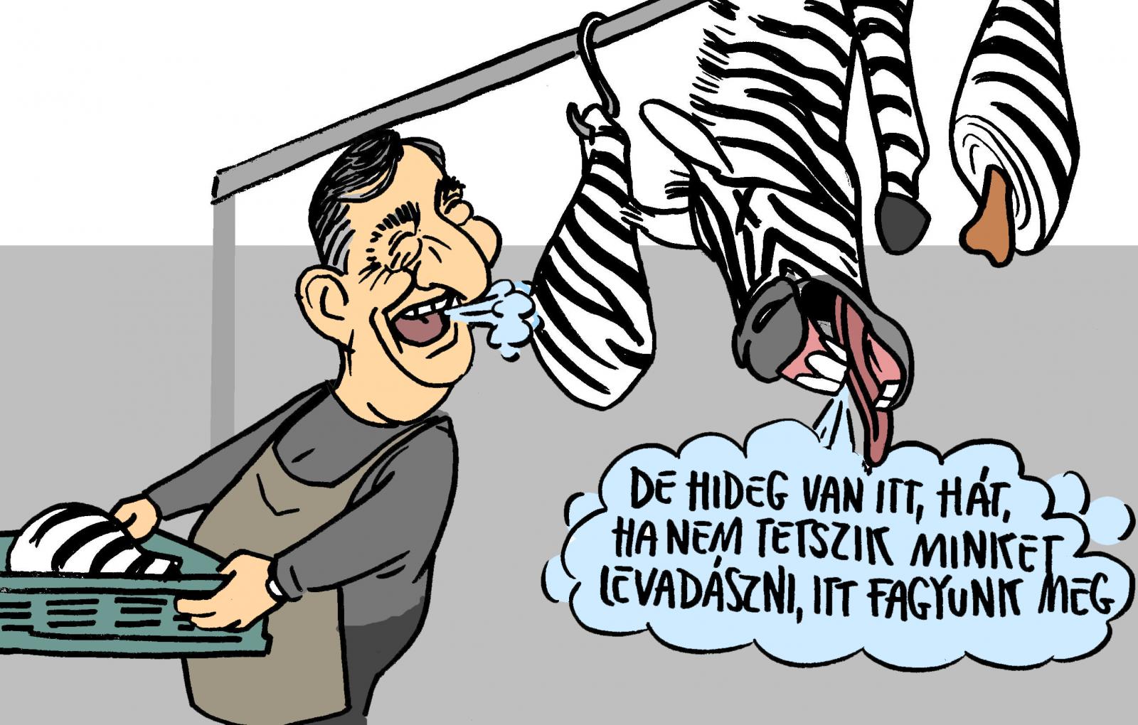 Szürkület 