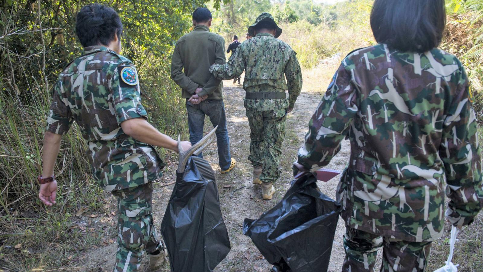 Thai parkőrök kísérnek egy elfogott orvvadászt. A kép illusztrációThai parkőrök kísérnek egy elfogott orvvadászt. A kép illusztr