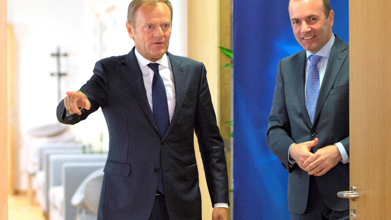 Még az is lehet, hogy Donald Tusk és Manfred Weber vetélytársakká válnak