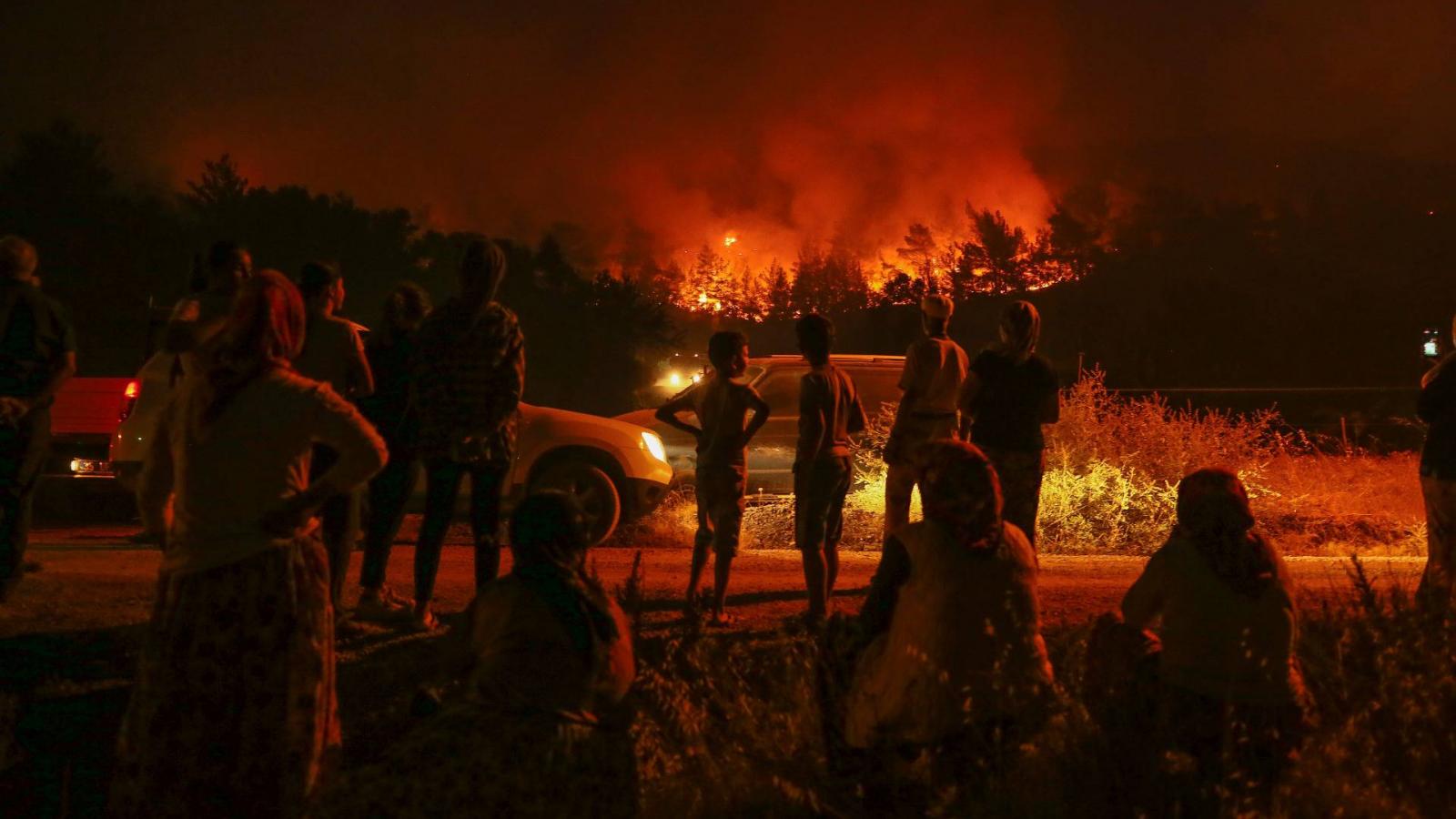 Turkey: Forest fire destroys over 1,200 acres of land