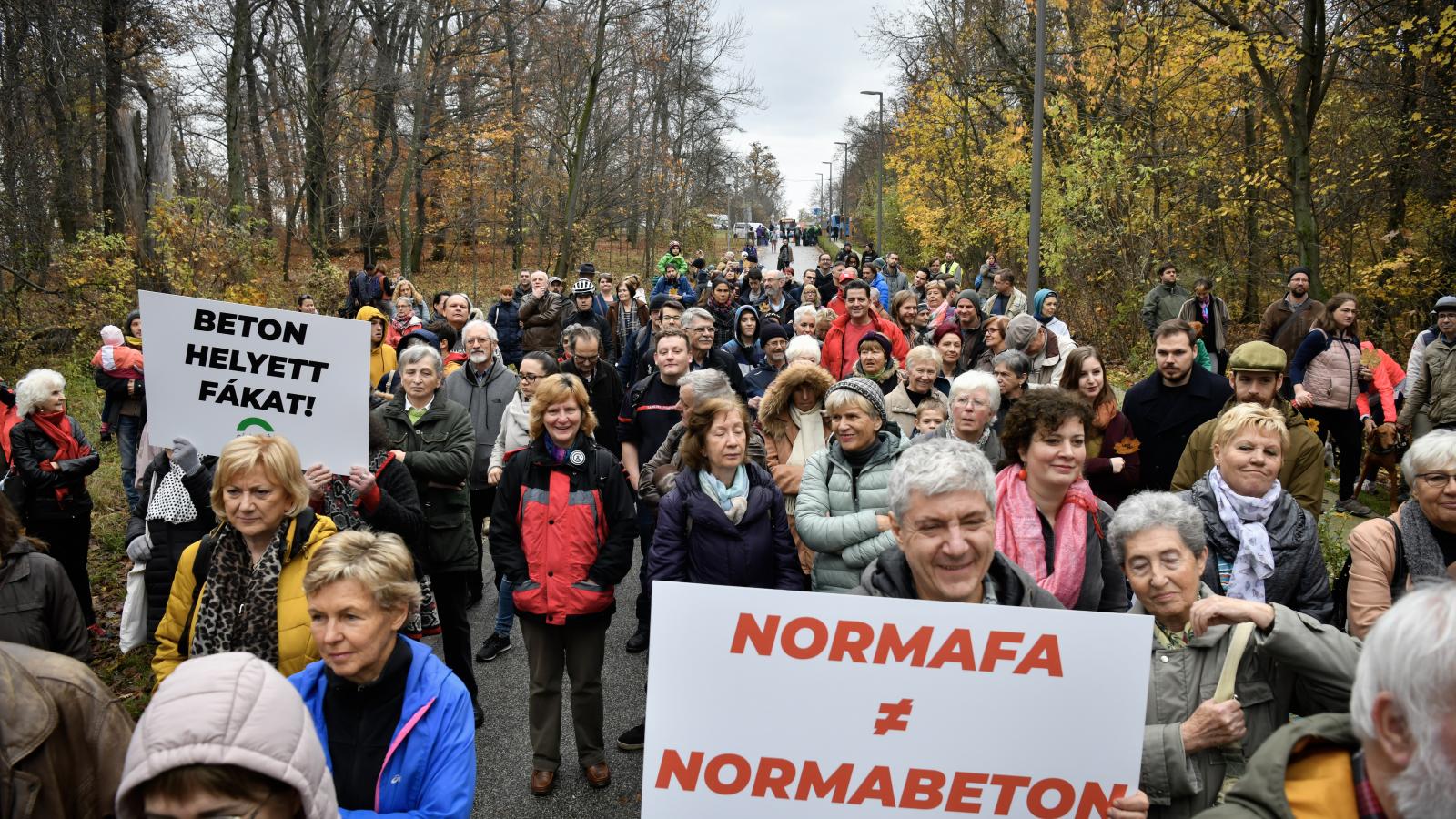 Tüntetők tiltakoznak a Normafára tervezett parkoló és a fakivágások miatt 2019. november 16-án