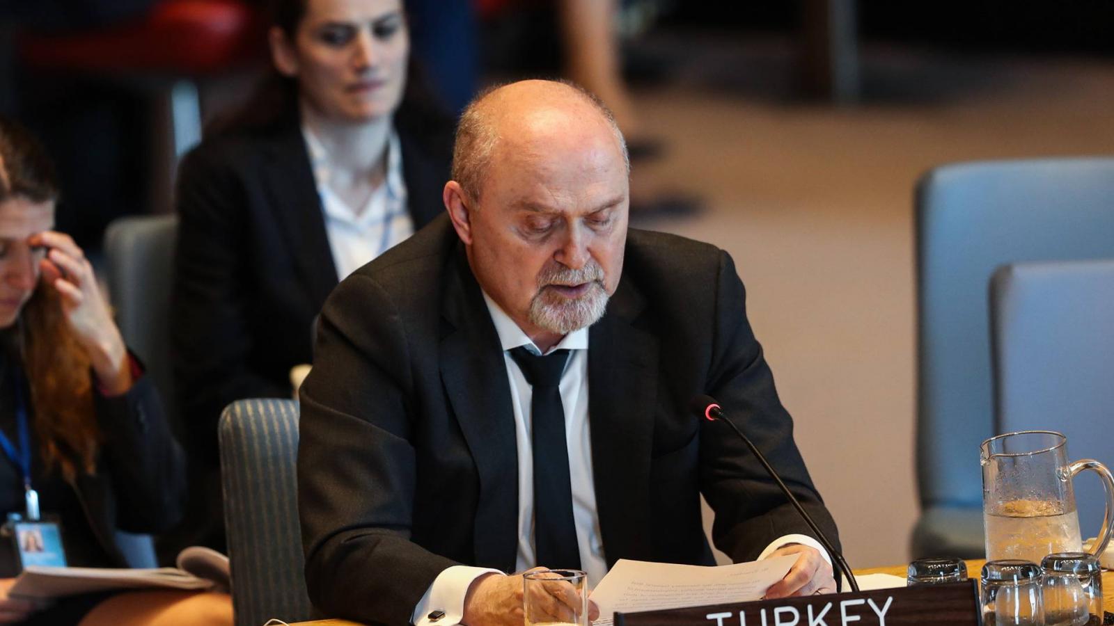 Feridun Sinirlioglu, Törökország ENSZ-nagykövete