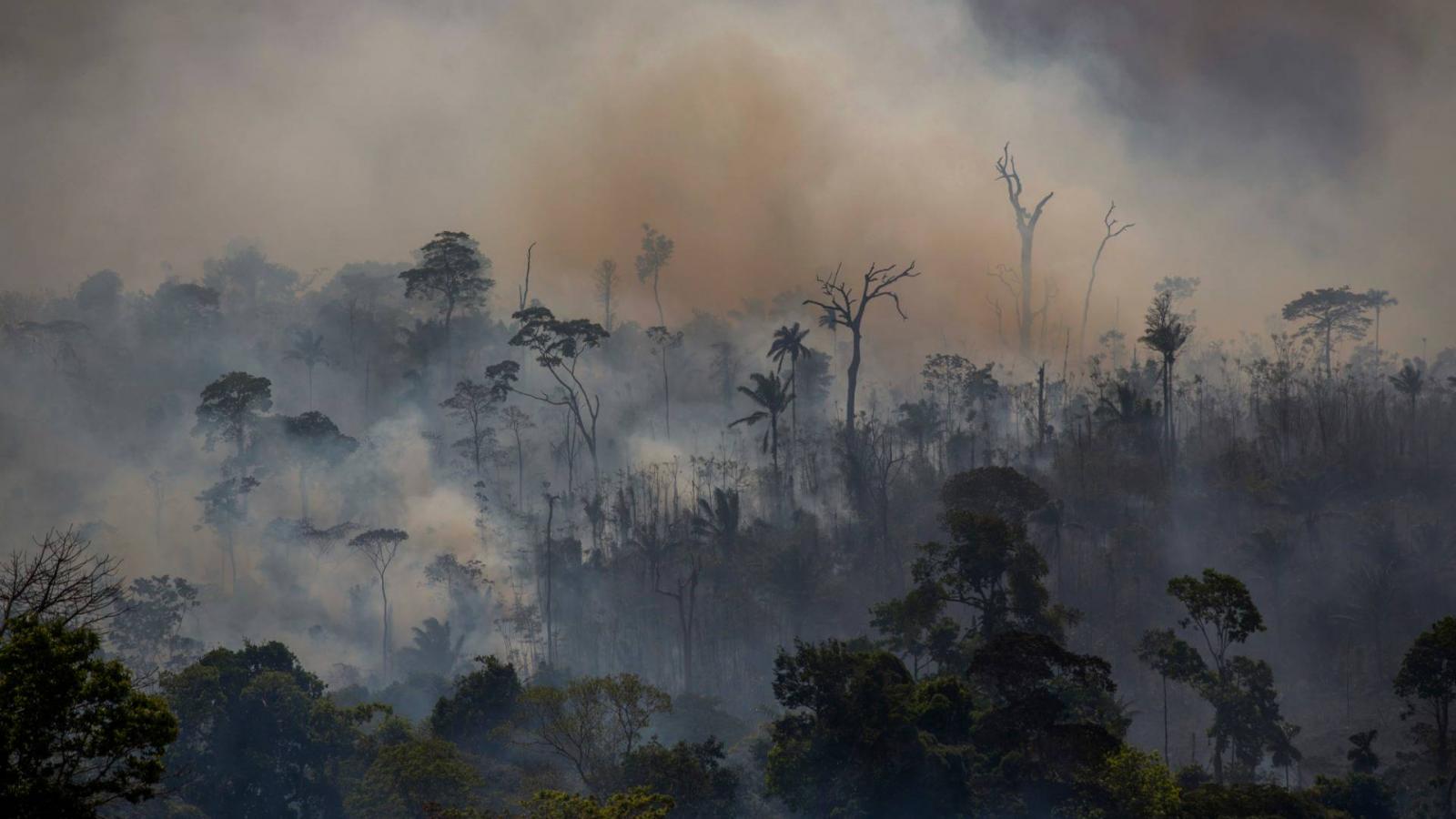 Füstfelhők az Amazonas-medence őserdeje felett. A brazil elnök Jair Bolsonaro az erdőirtó földműveseket támogatja a környezetvédők helyett