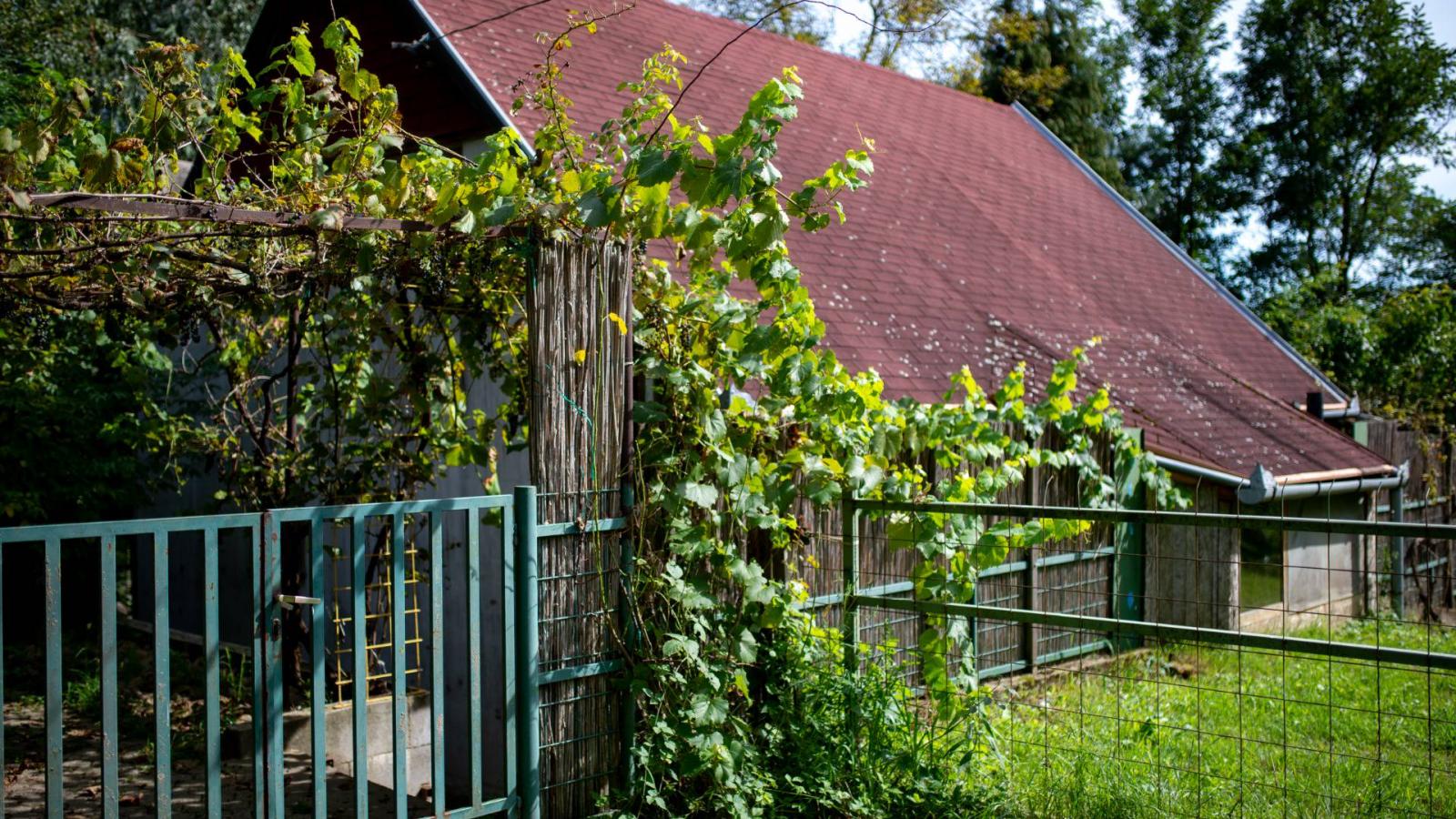 A gyékényesi pár havi 120 ezerért csak az idősek lakhatását biztosította