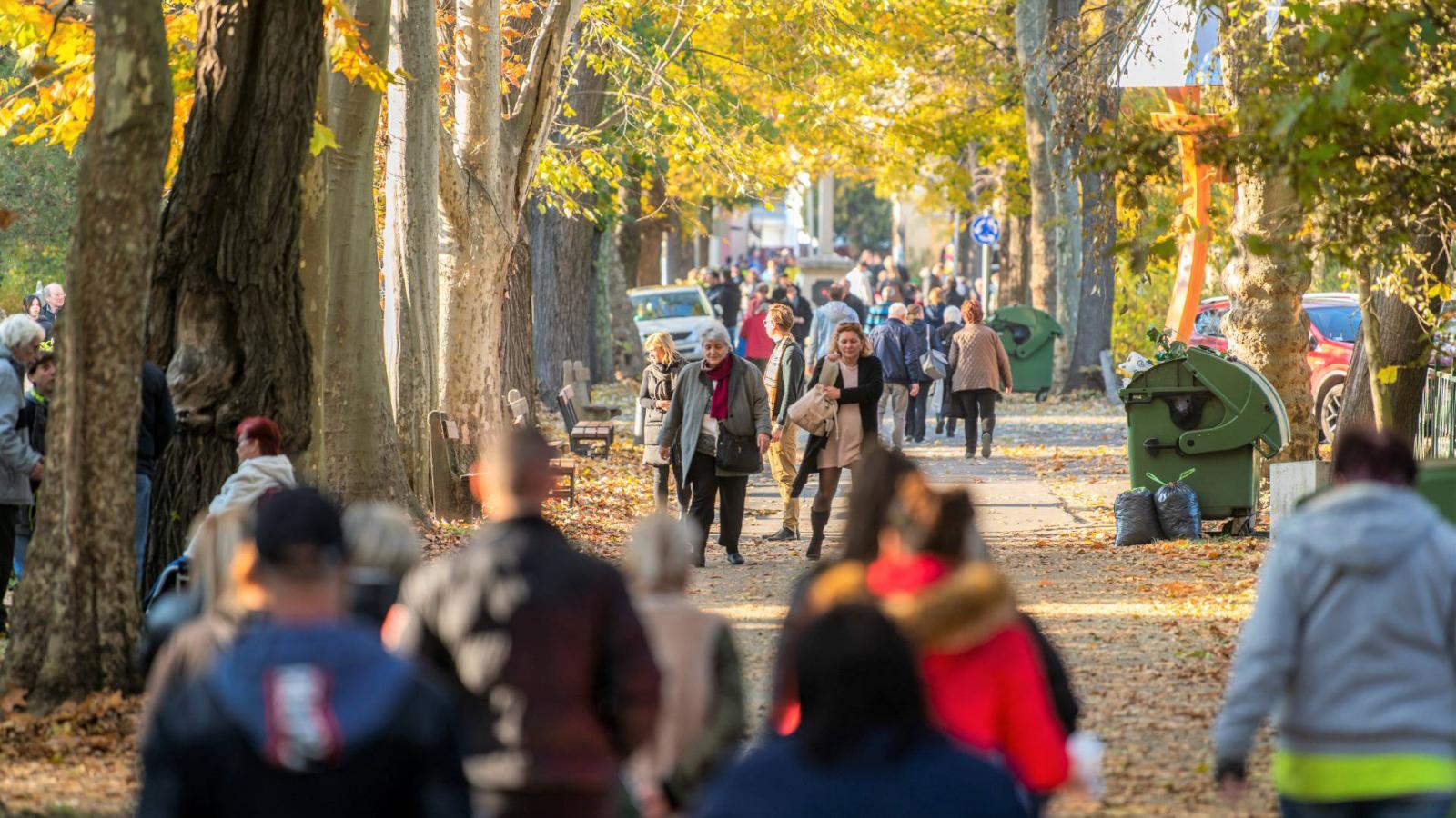 A Budapesti Temetkezési Intézet 2014-ben határozatlan időre bízta meg a céget a fővárosi temetők takarításával havi nettó 5,3 millió forintért.