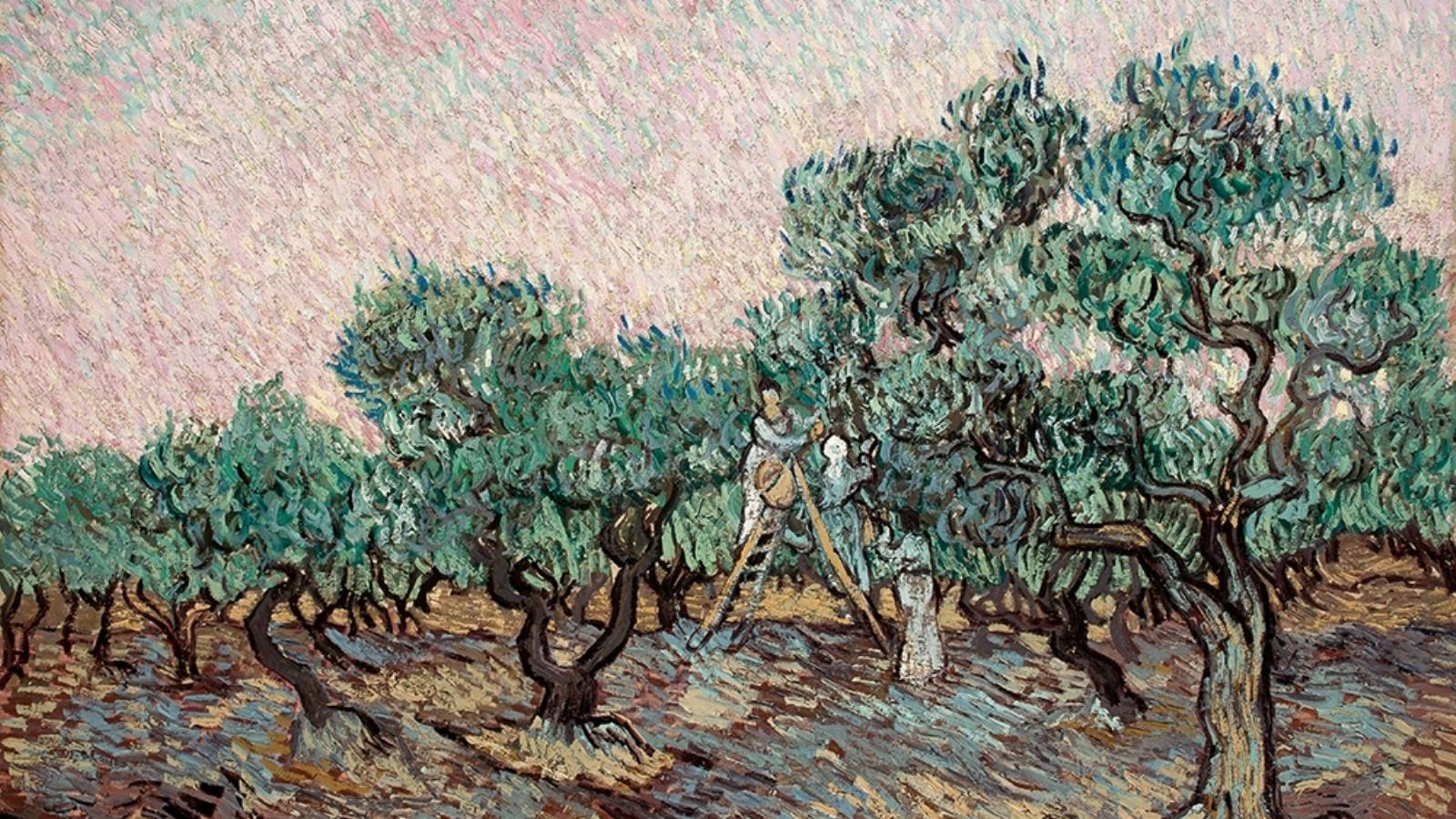 Vincent van Gogh La cueillette des olives - Olajbogyó betakarítás 