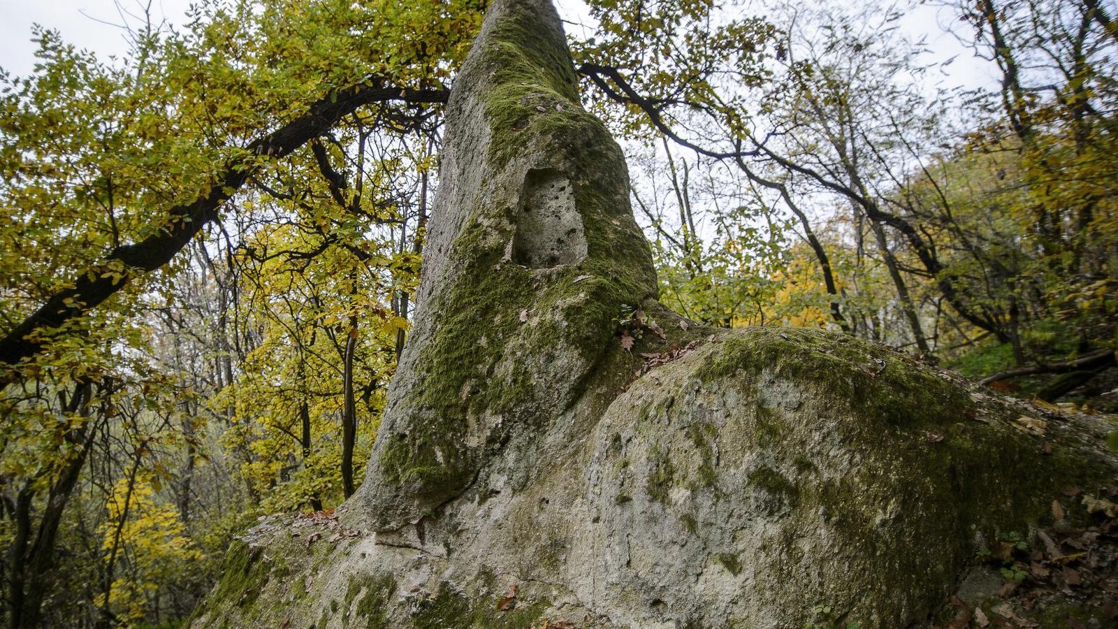 A Kiskúp nevű kaptárkő a Mangó-tetőn, Cserépváralja közelében. MTI Fotó: Komka Péter