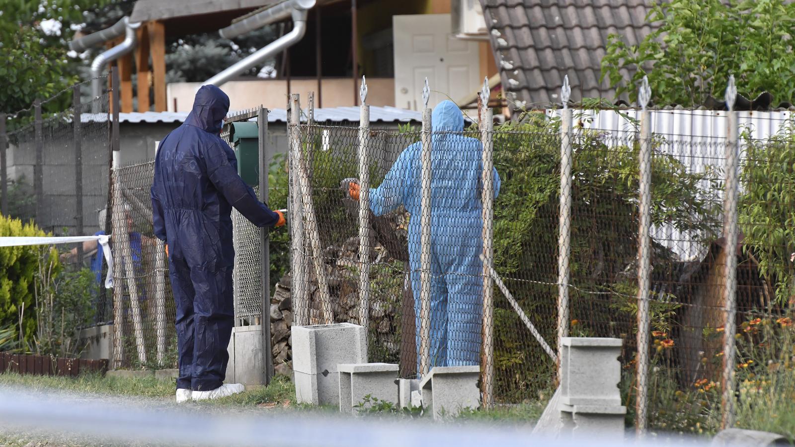 Bűnügyi helyszínelők dolgoznak az albertirsai háznál