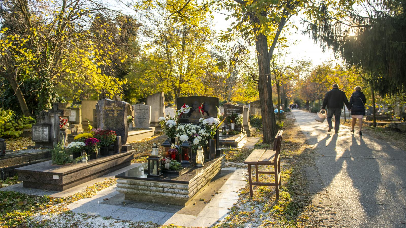 Hatékonysági rekord: 7 fős cég gondoz 450 hektárnyi temetői területet