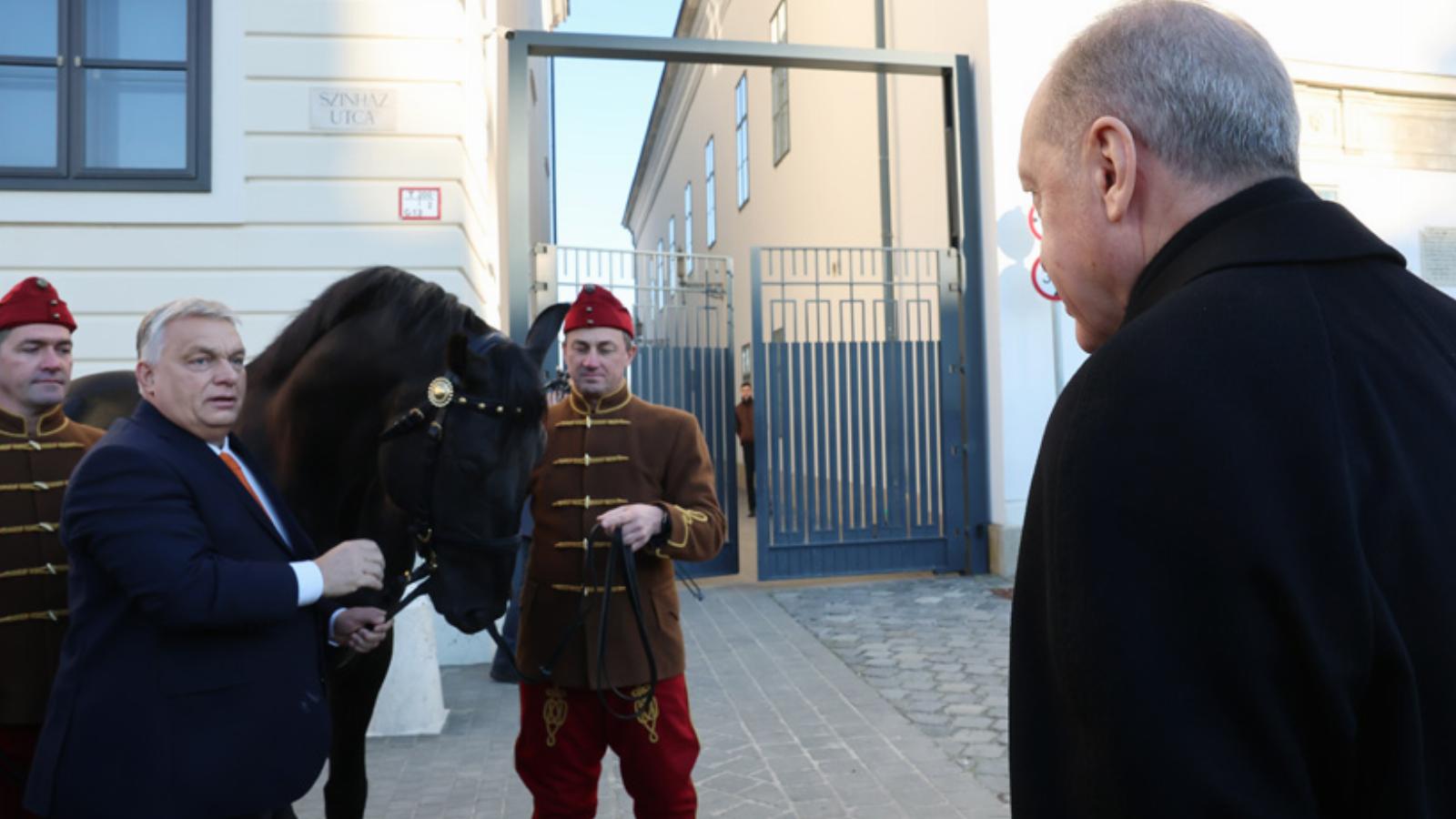 A török elnök lovat kapott ajándékba Orbántól