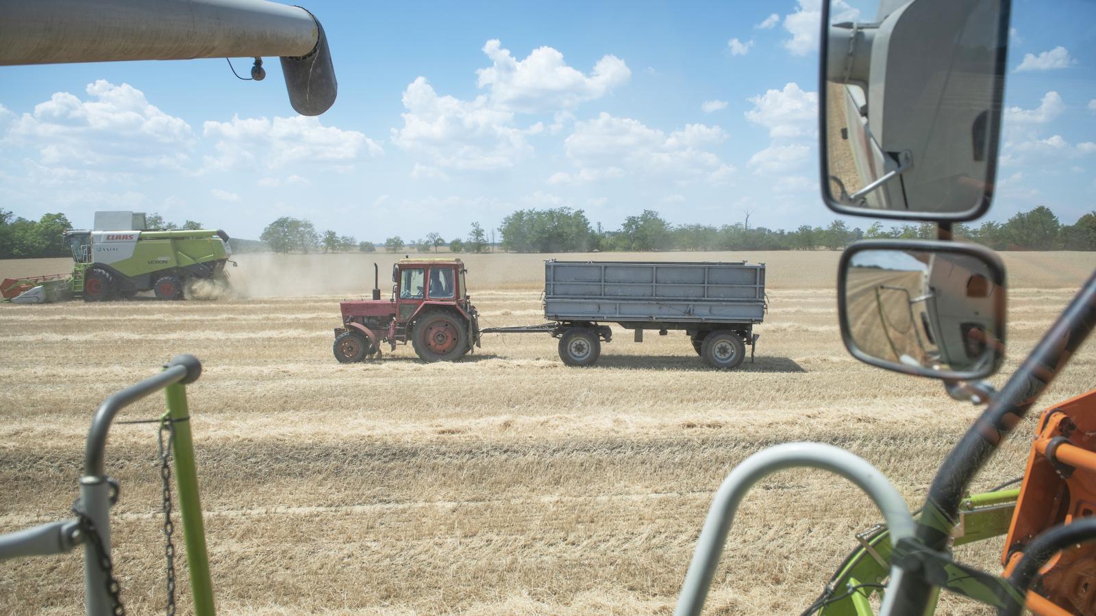 Az agrárium ránthatja ki a recesszió­ból a magyar gazdaságot