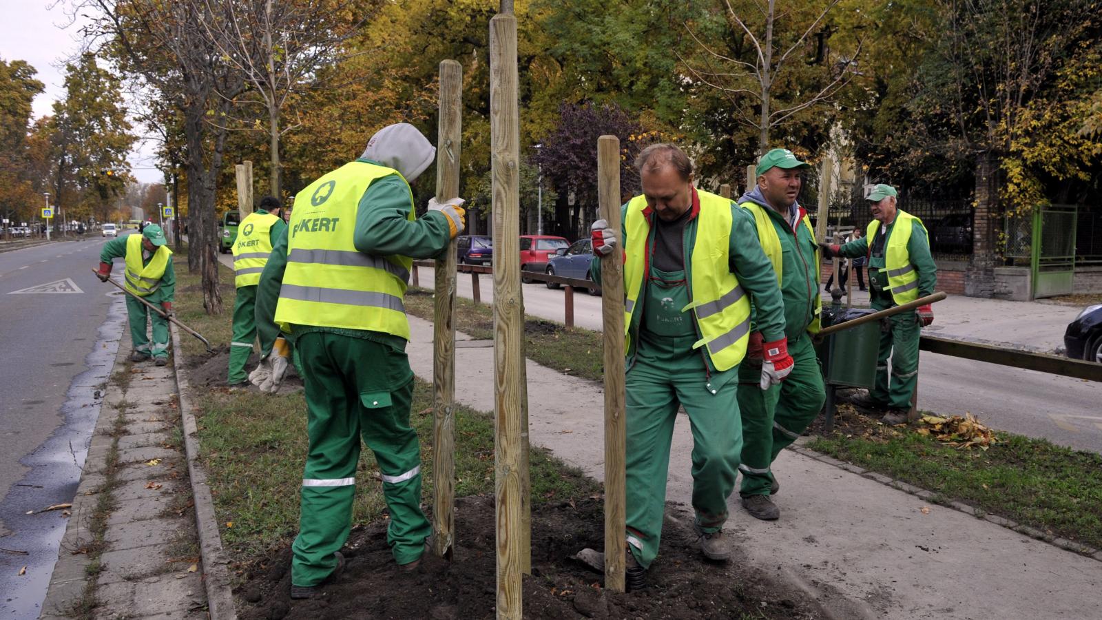 A Főkert park­fenntartási alvállalkozói keretszerződései már korábban kimerültek – állította a Budapesti Közművek Zrt.