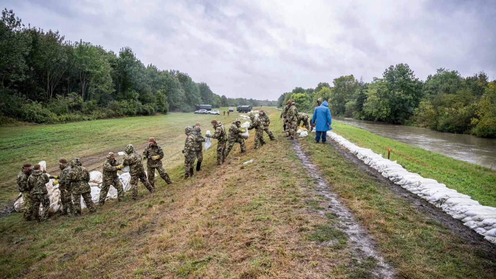 Gáterősítés a Lajta és a Malom-ági Lajta torkolatánál. Kék esőkabátban Nagy István agrárminiszter 