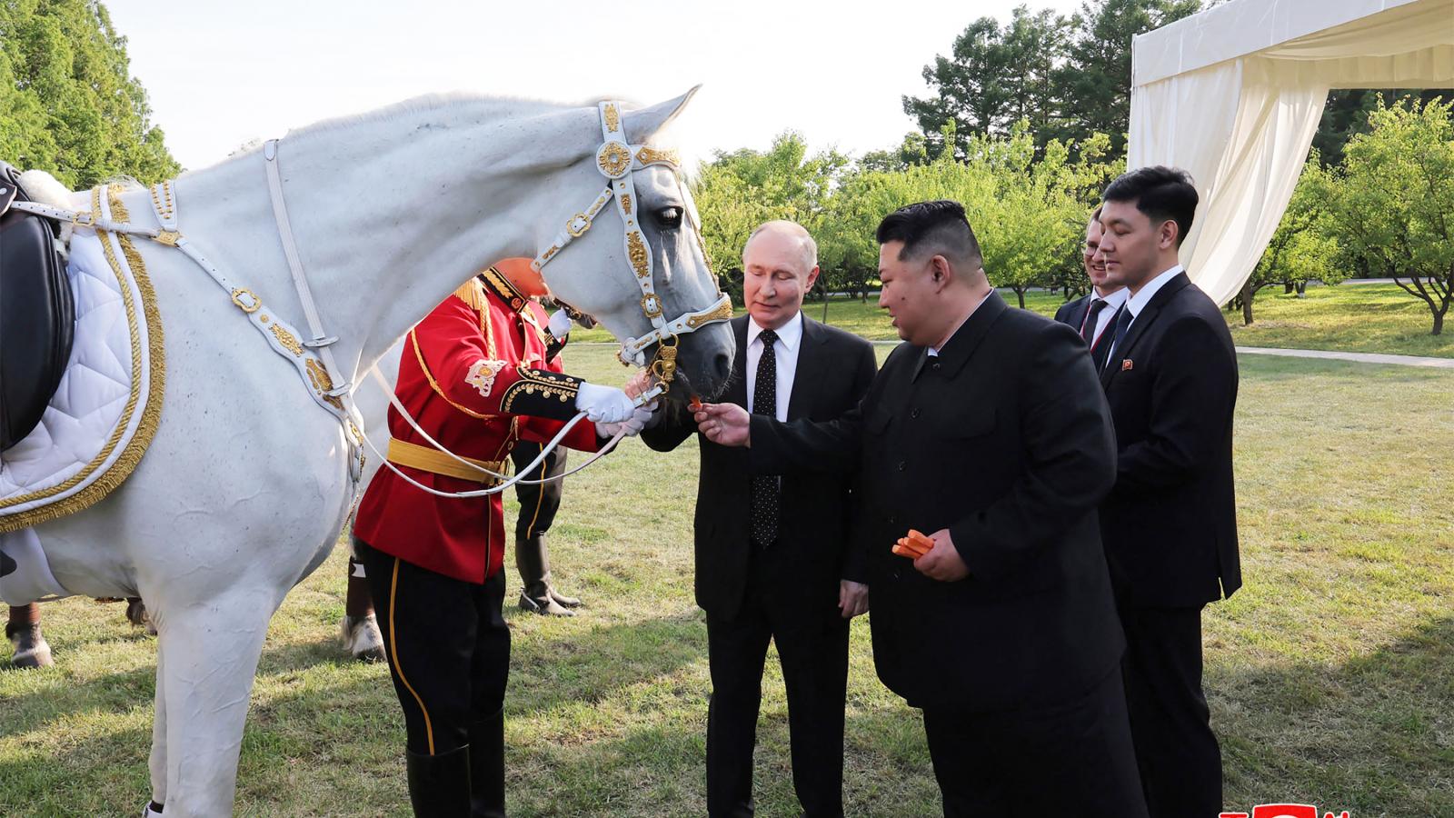 Kim Dzsongun fehér lovat „áldoz” Putyinnak. Észak-Korea is a háború nyertesei közé tartozik