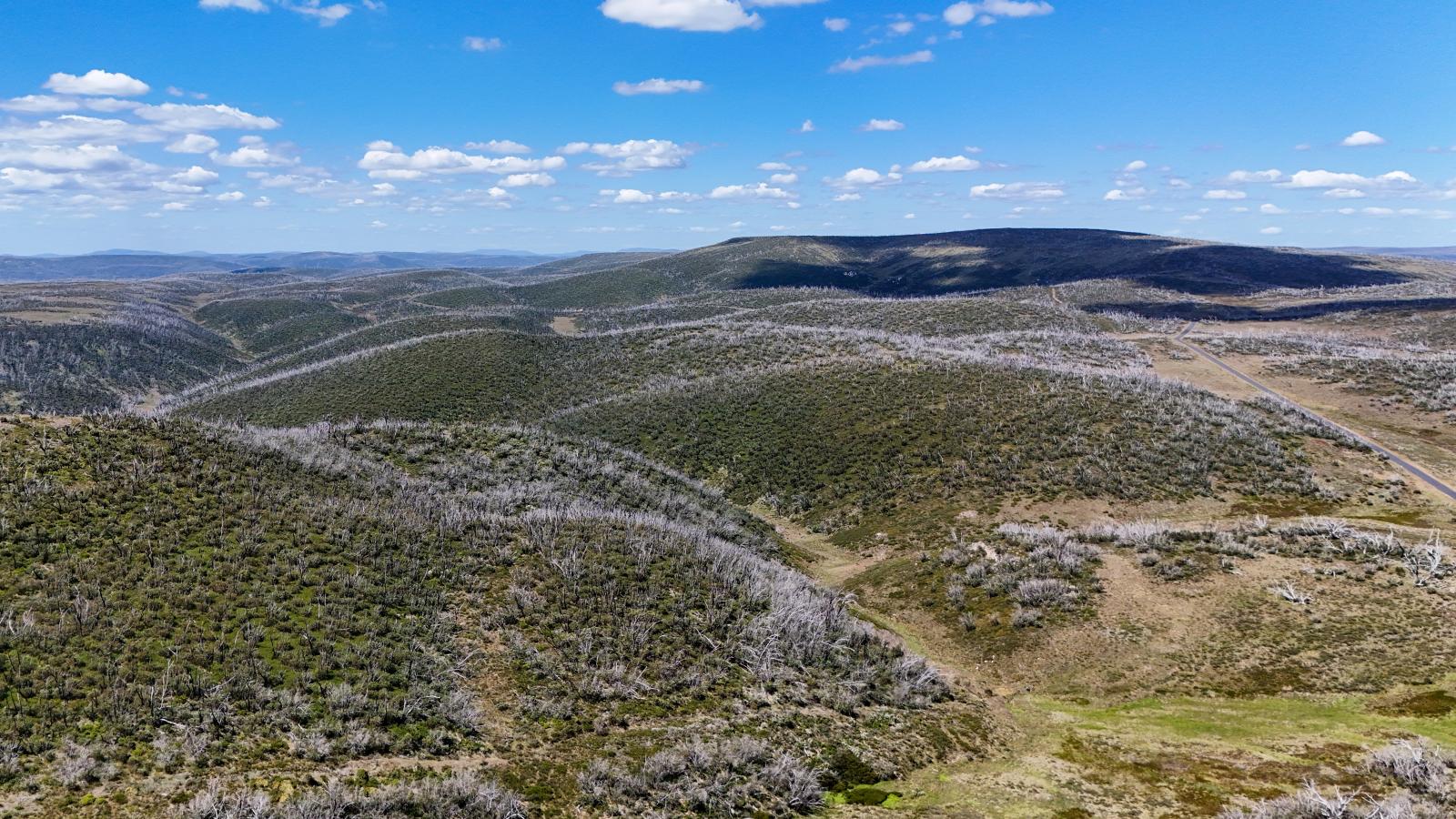 A Kosciuszko nemzeti park - Korábbi felvétel 