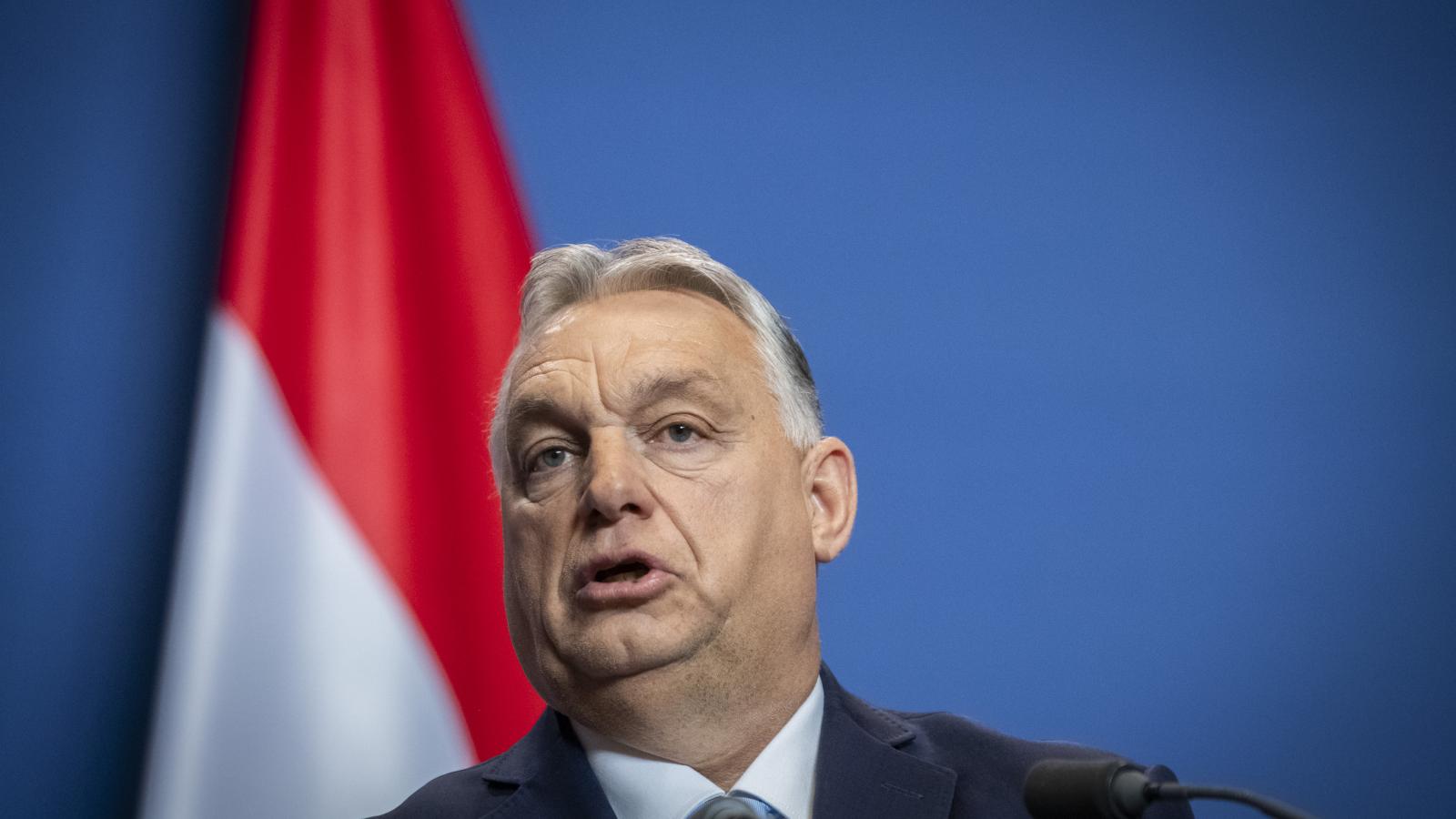 Korábbi felvétel 