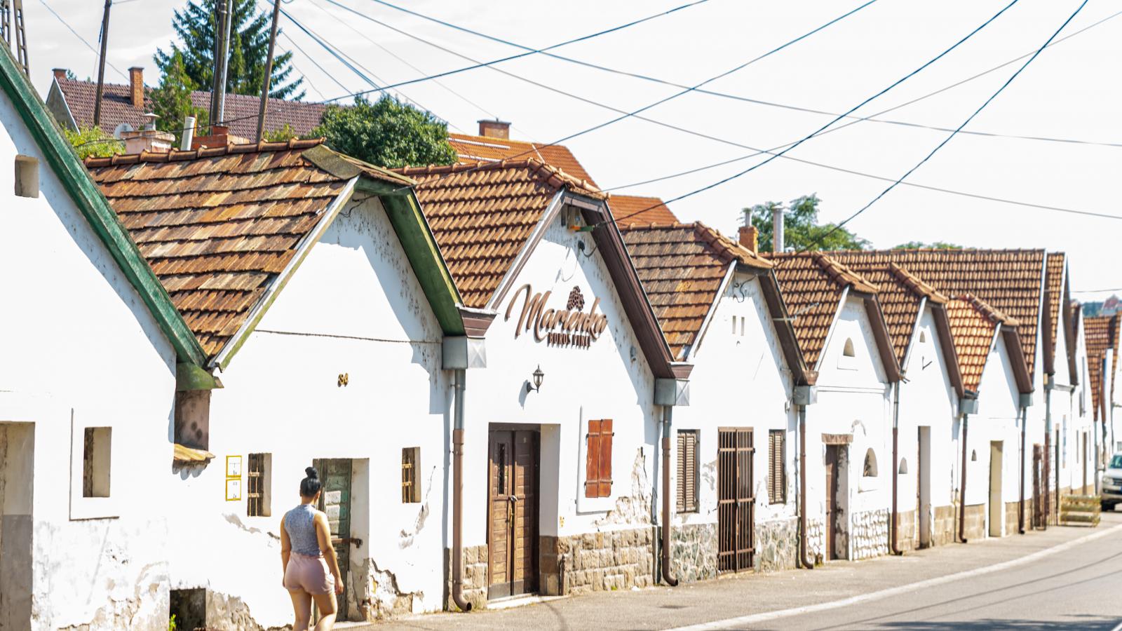 Idén csak hárommillió forintos adóbevételre számítanak a pincék után