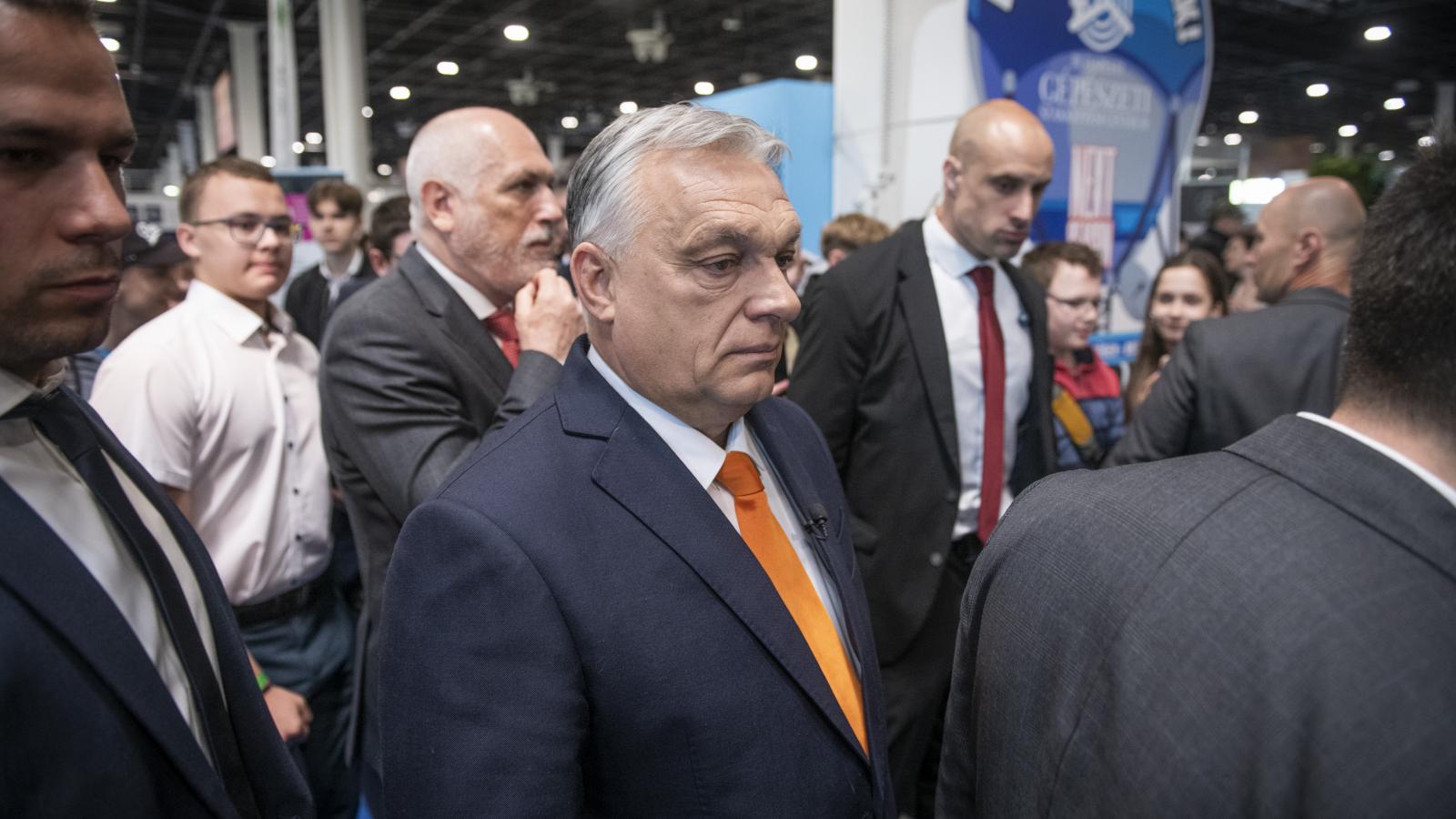 Korábbi felvétel 