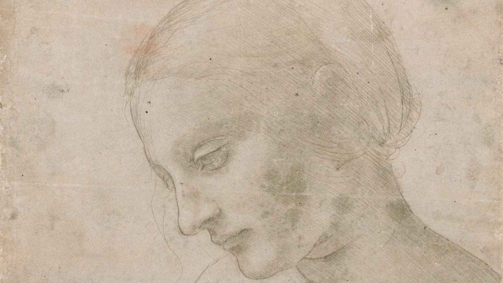 Leonardo da Vinci: Női fej profilban (részlet). 1478-1481,  Musée du Louvre