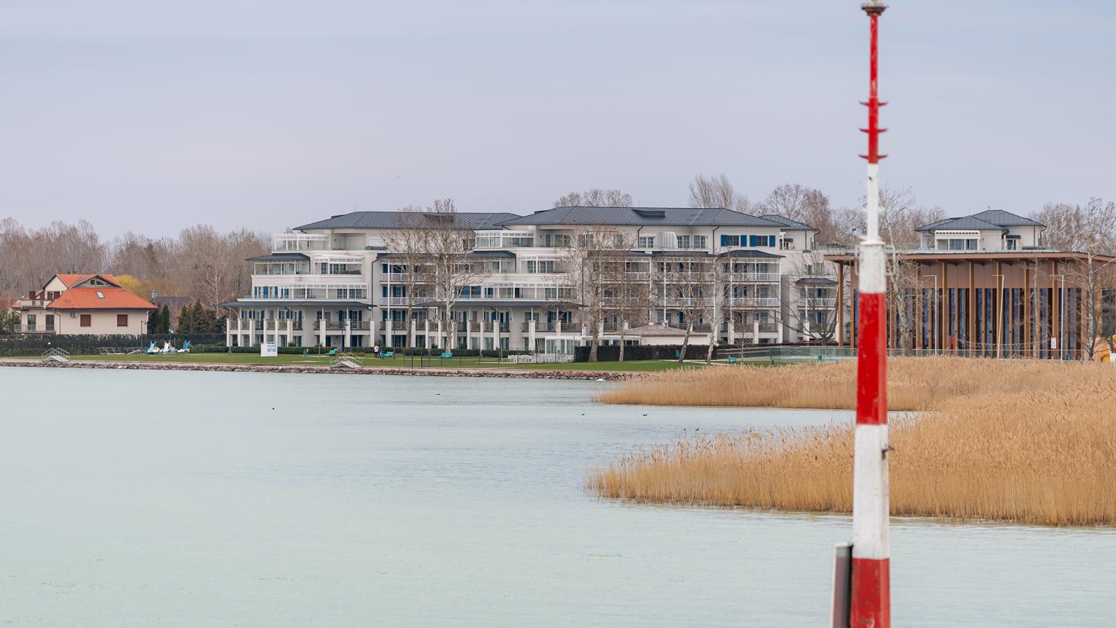 A meleg időben elszaporodtak az algák a vízben és az árvaszúyogok a Balaton közelében