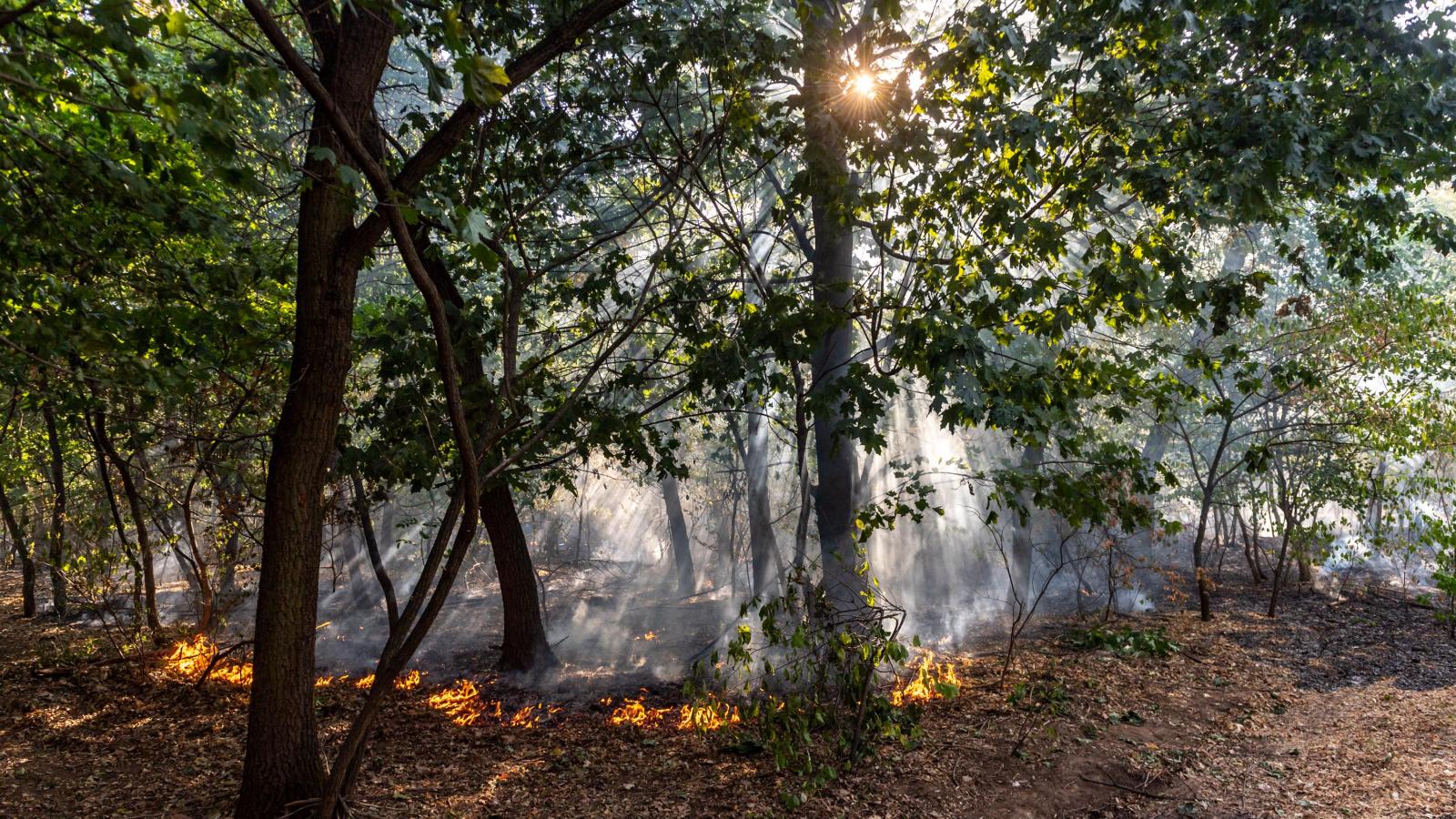 Képünk illusztráció!