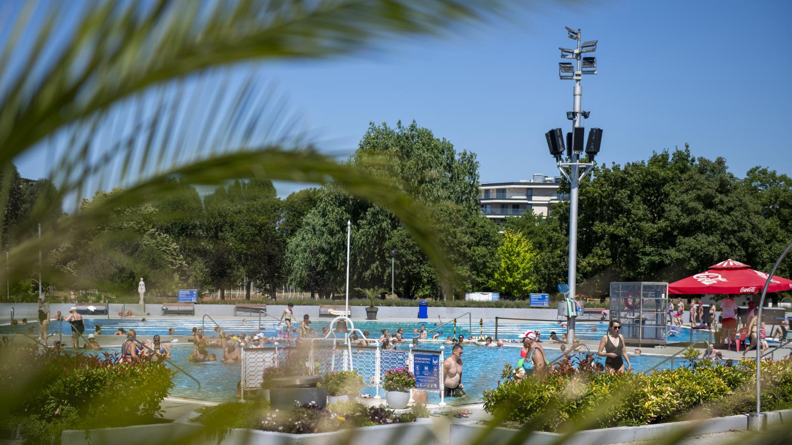 Képünk illusztráció