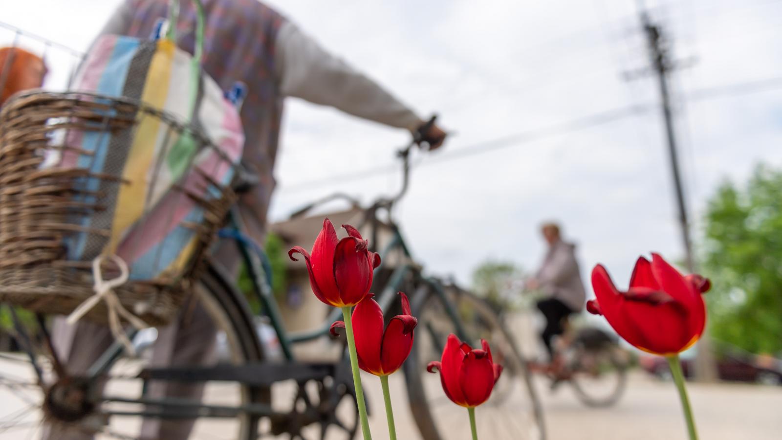 „Orbán hülyének nézi az embereket, és igaza van, azok vagyunk”