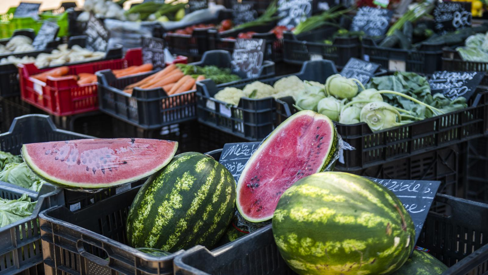 Bőséges lesz az idei dinnyekínálat, az árak széles skálán mozoghatnak