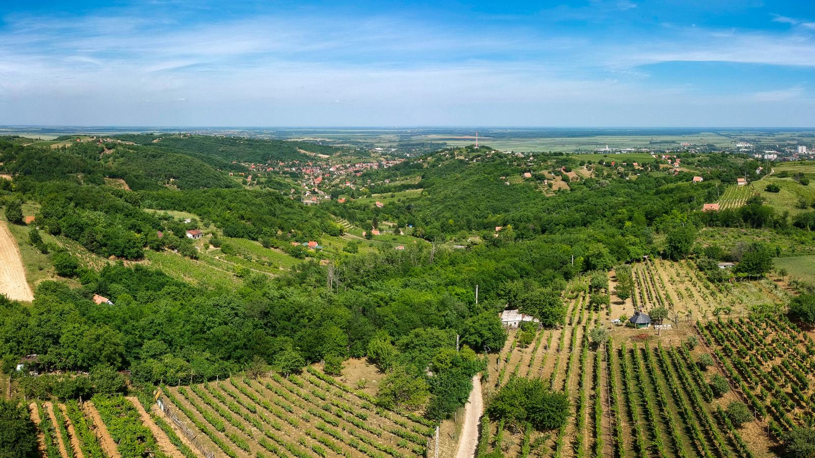 Szekszárdi borvidék