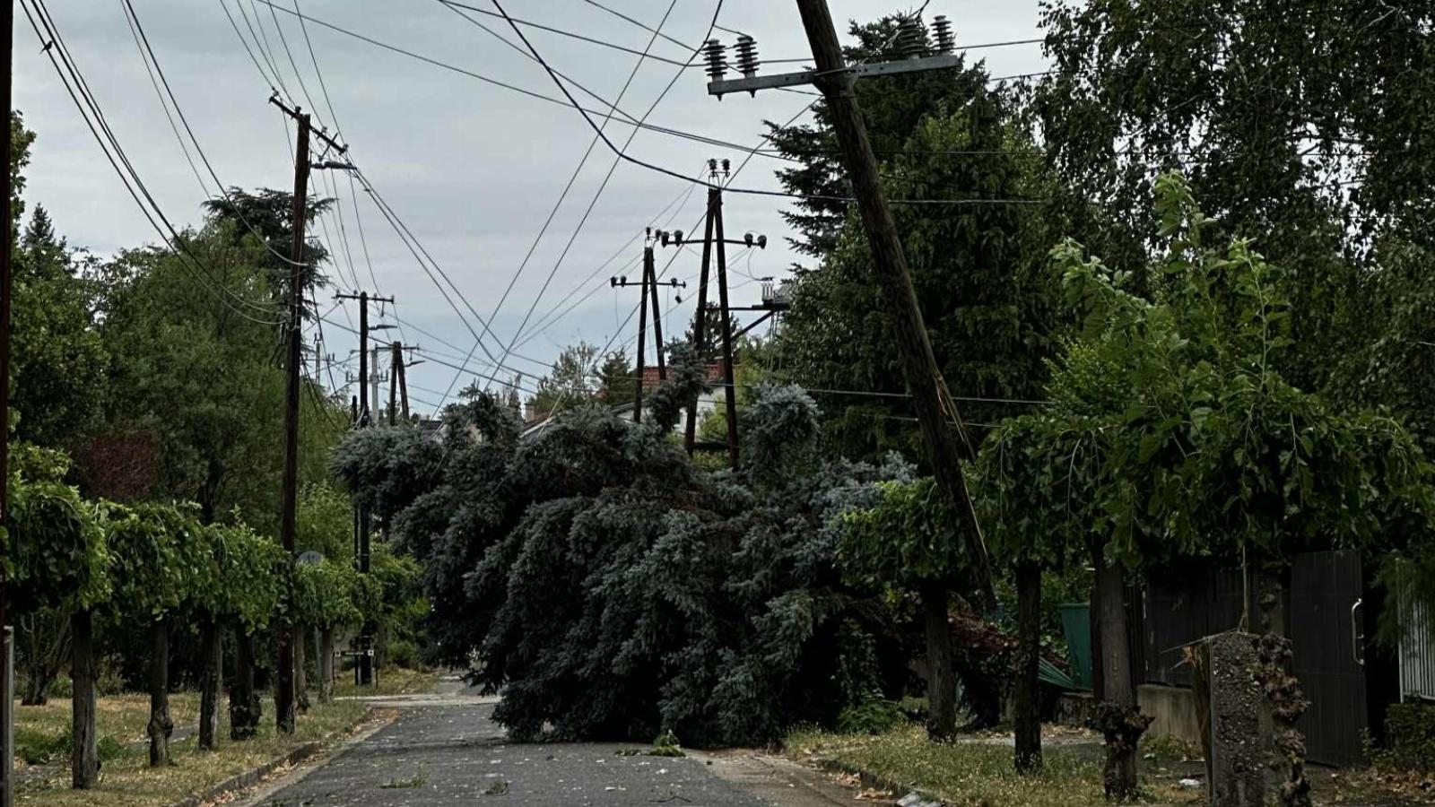 Az erős széllökések sok helyen összekuszálták a vezetékeket